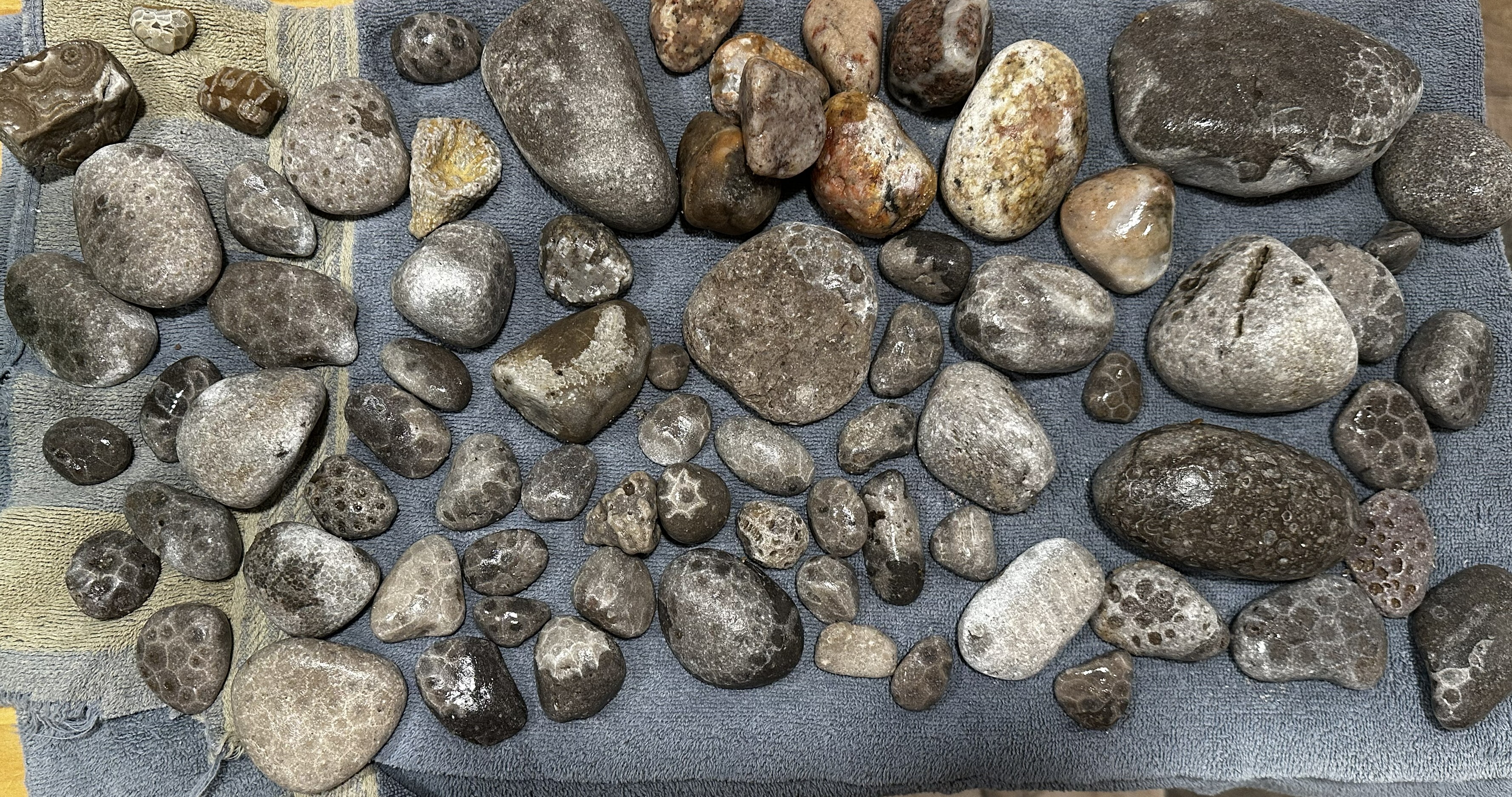 ROCKS I'VE FOUND ON THE BEACH