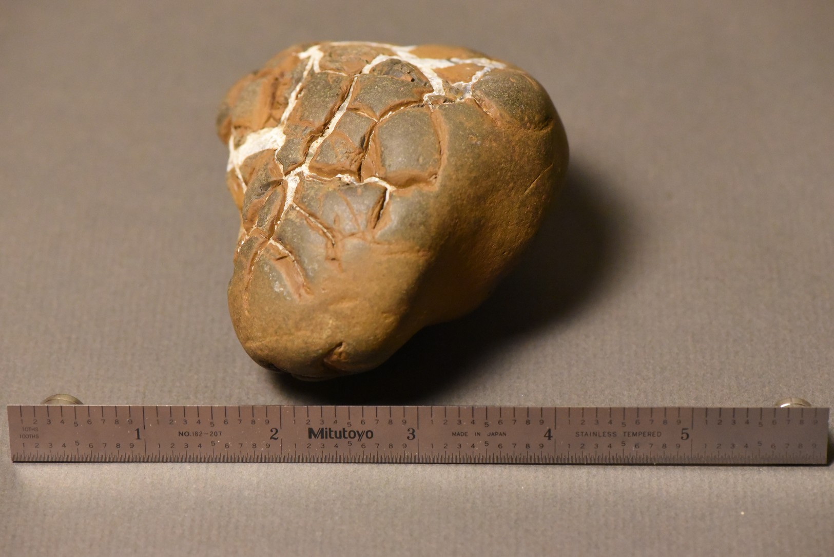 Septarian Nodule specimen