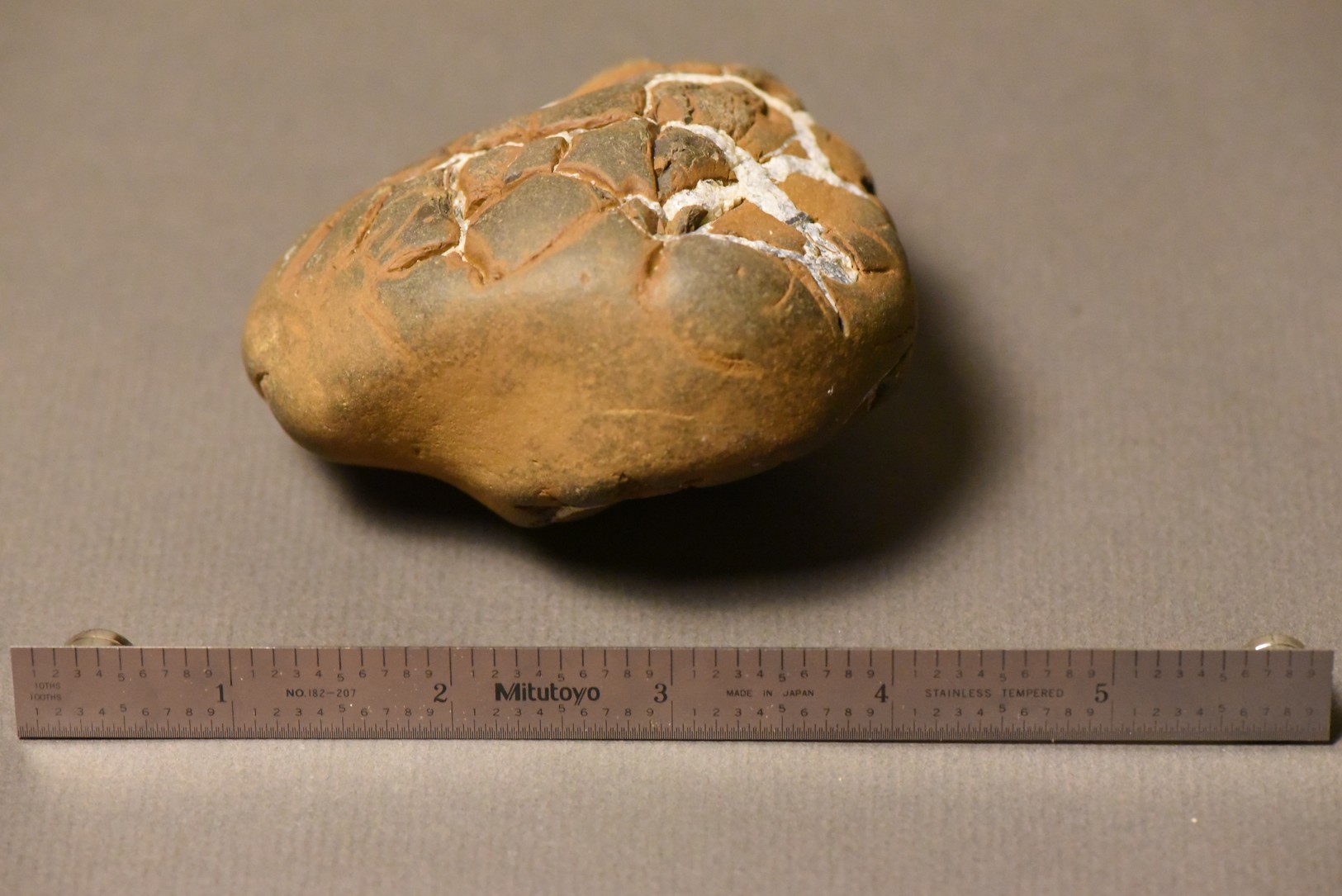 Septarian Nodule specimen