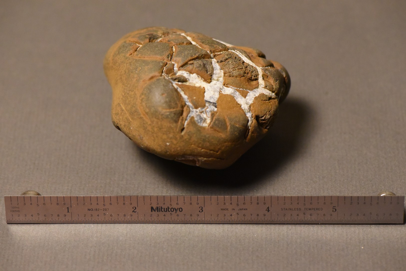 Septarian Nodule specimen