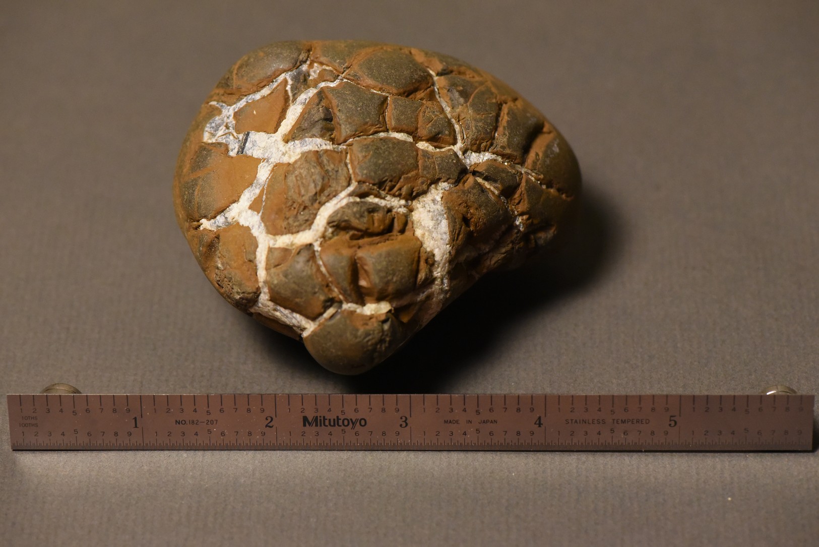 Septarian Nodule specimen