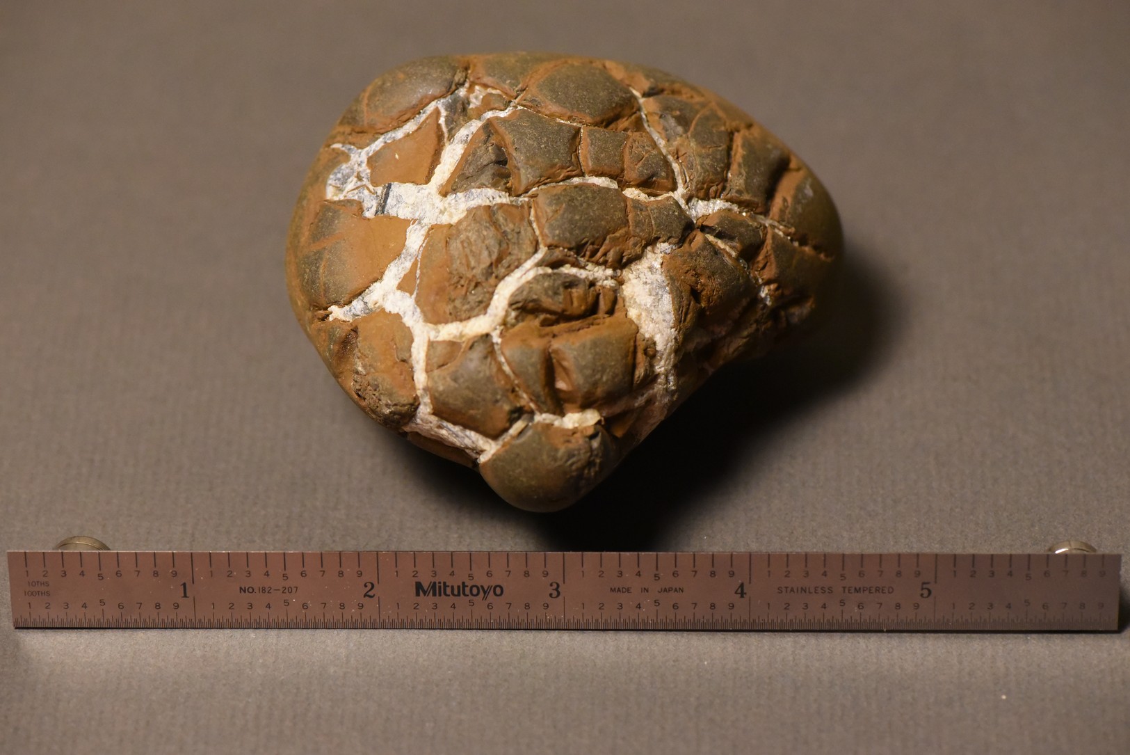 Septarian Nodule
