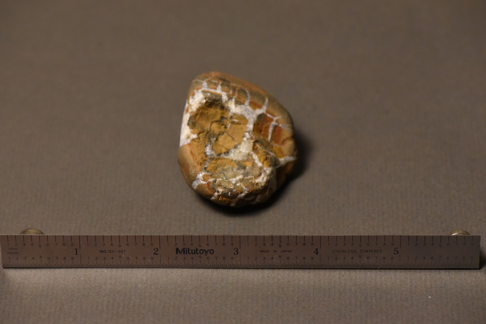 Septarian Nodule specimen