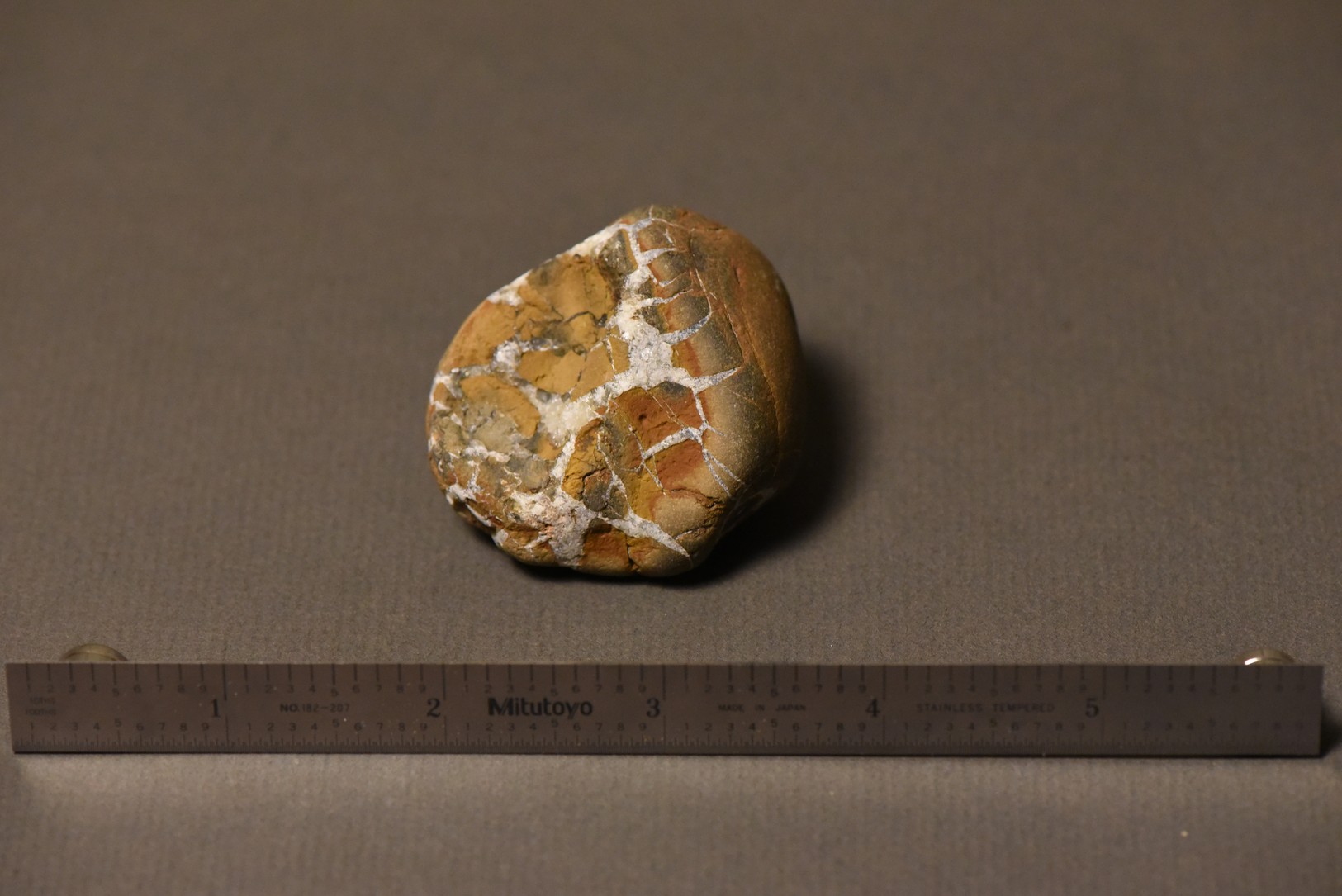 Septarian Nodule specimen