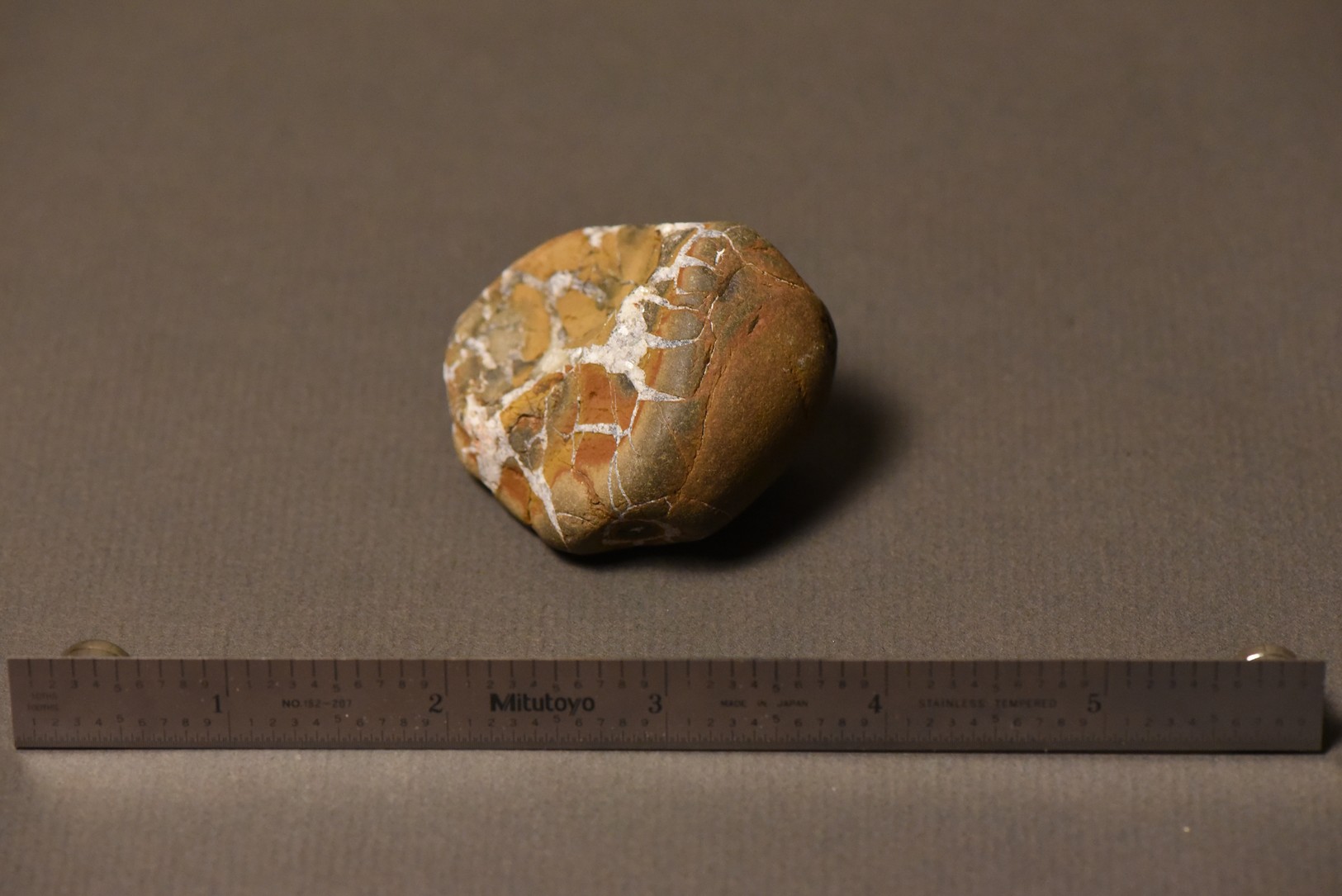 Septarian Nodule specimen