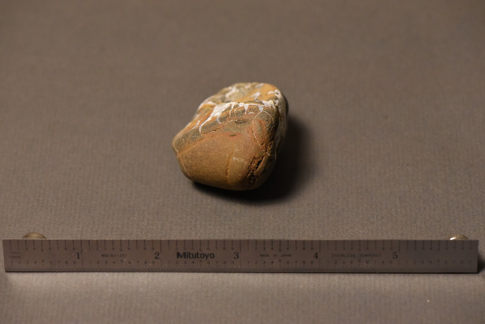 Septarian Nodule specimen
