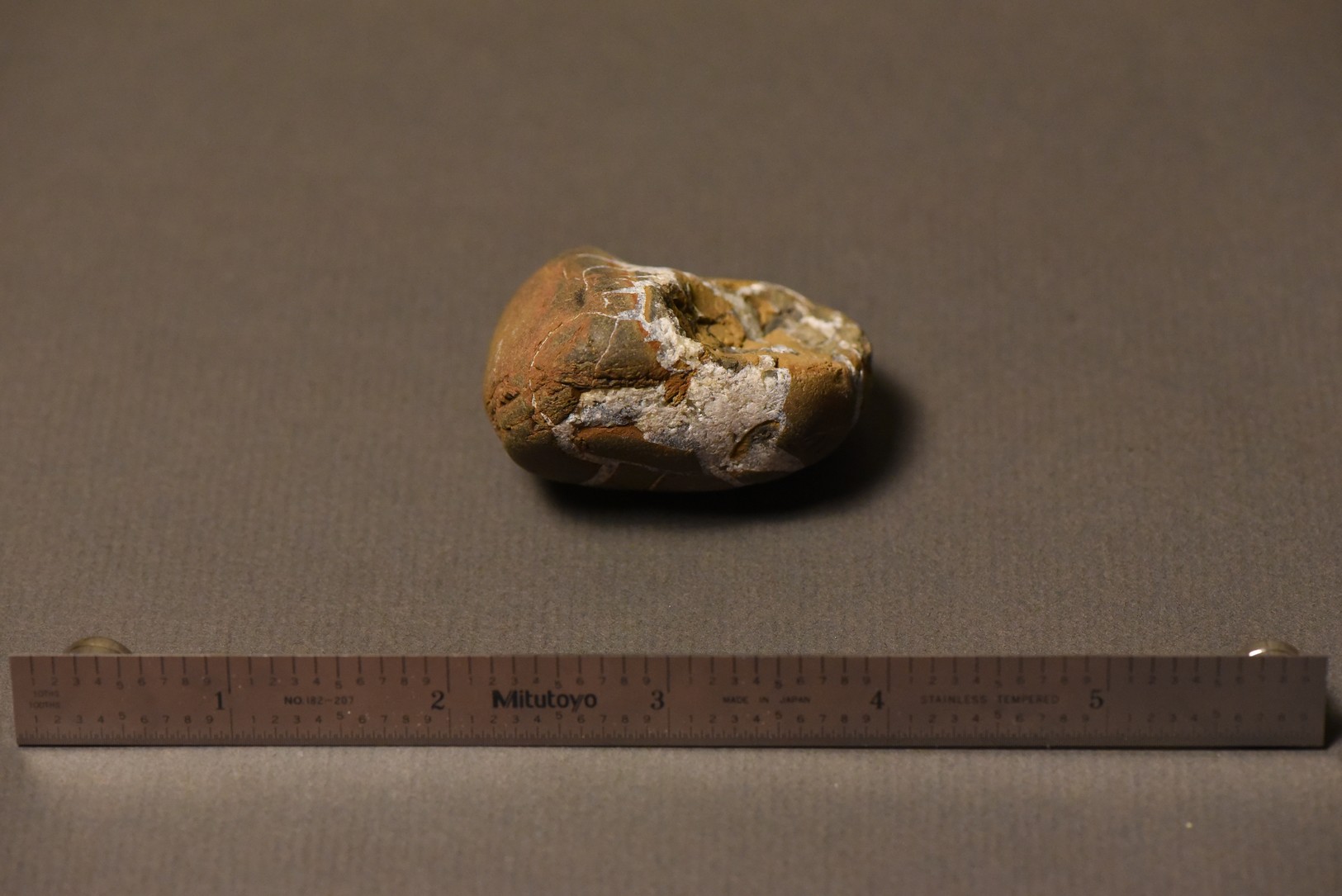 Septarian Nodule specimen
