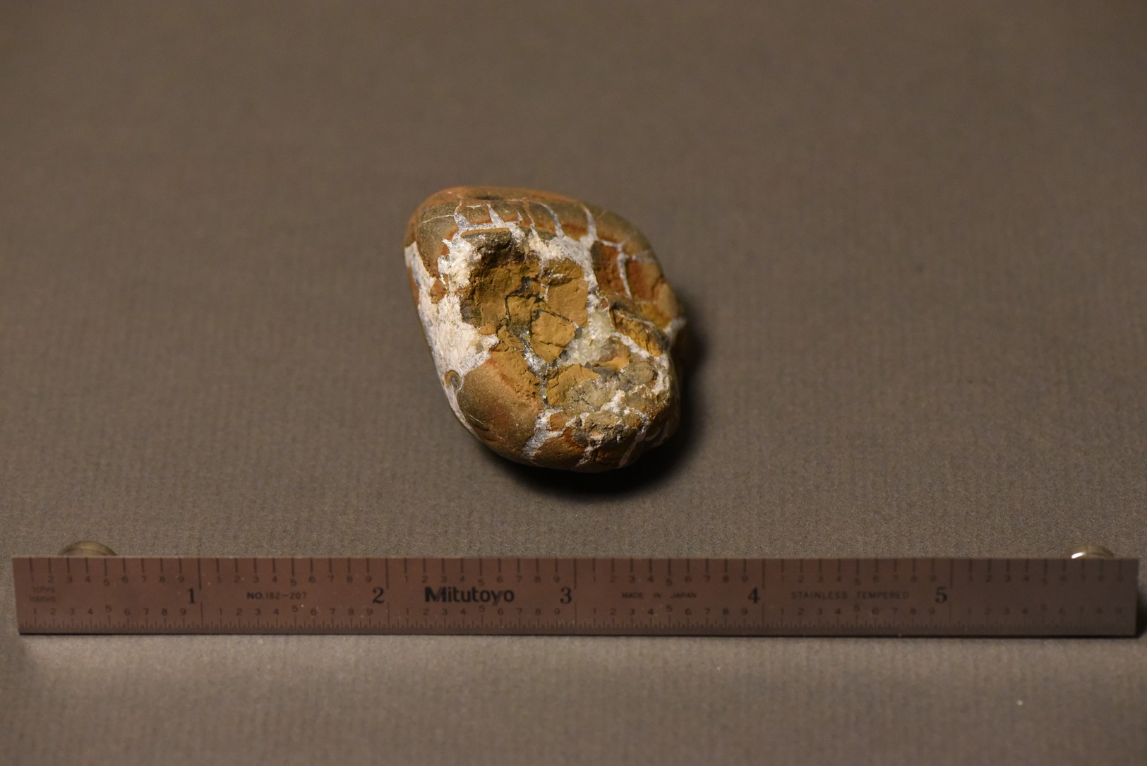 Septarian Nodule specimen