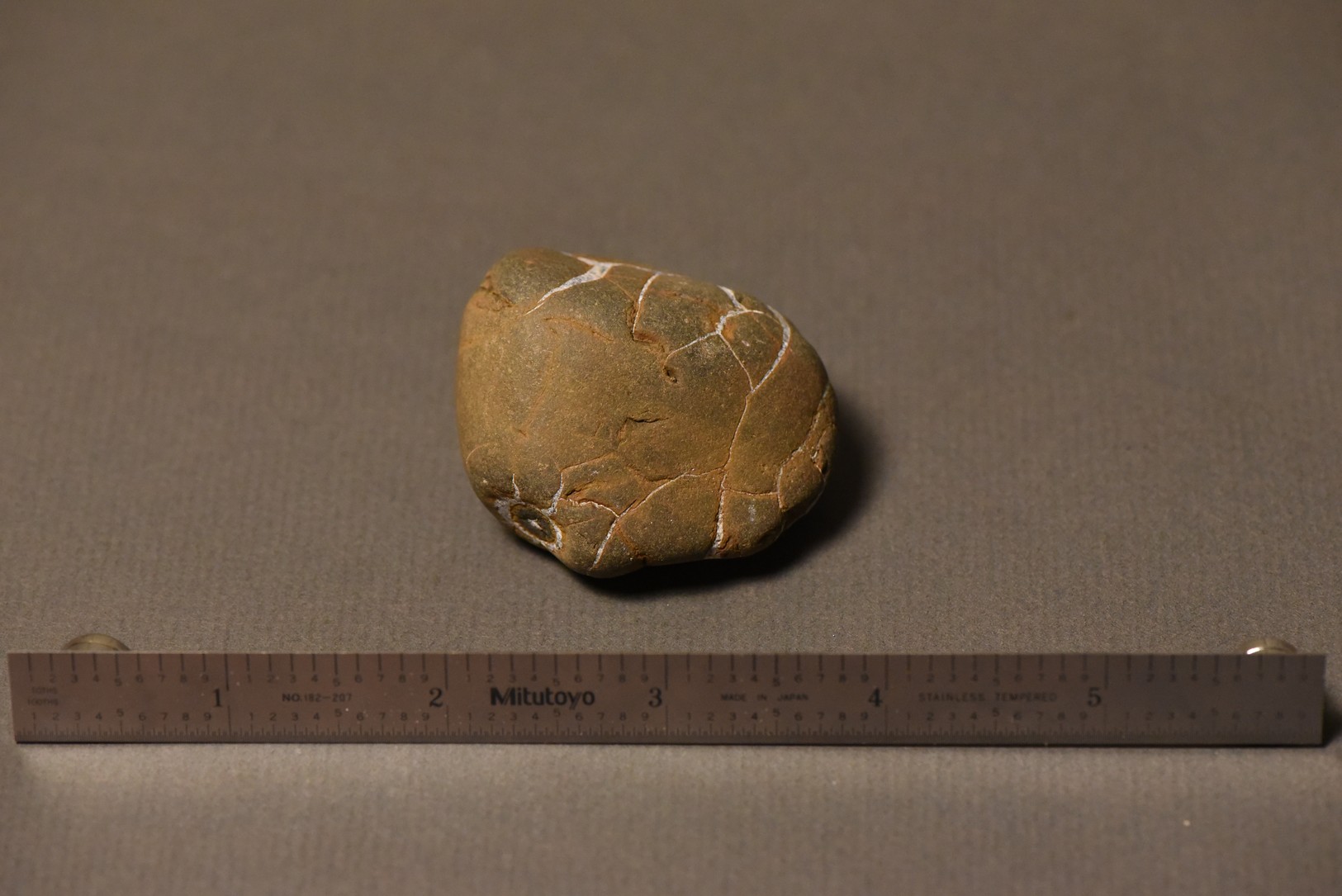 Septarian Nodule specimen