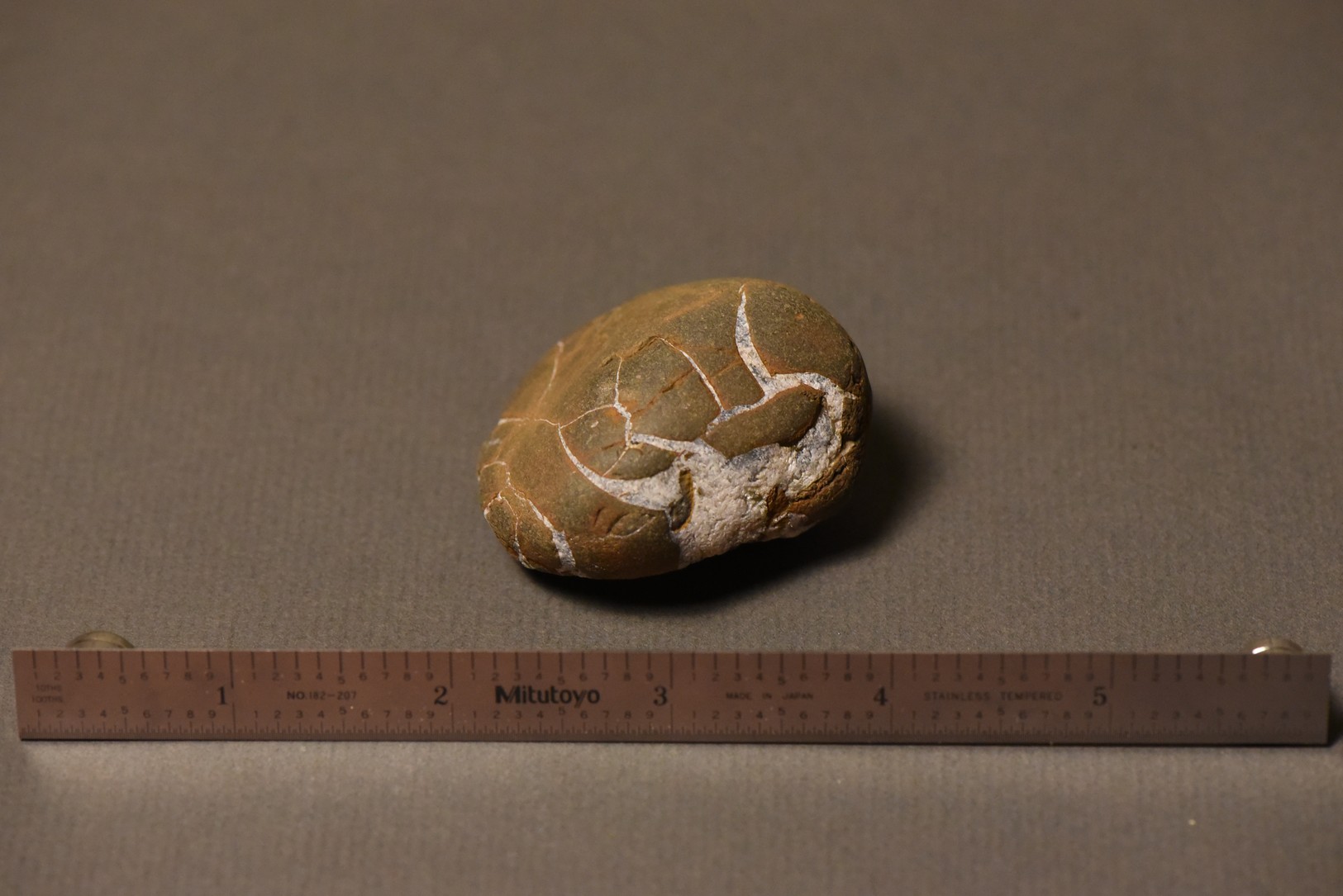 Septarian Nodule specimen