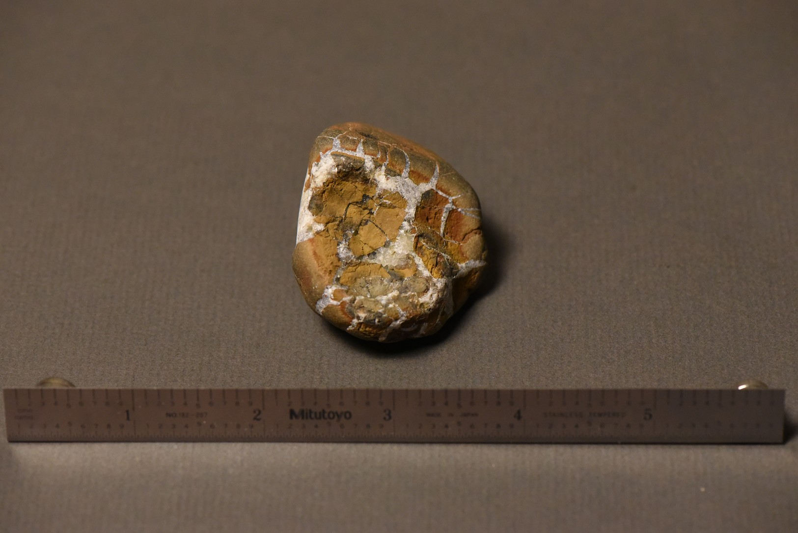 Septarian Nodule