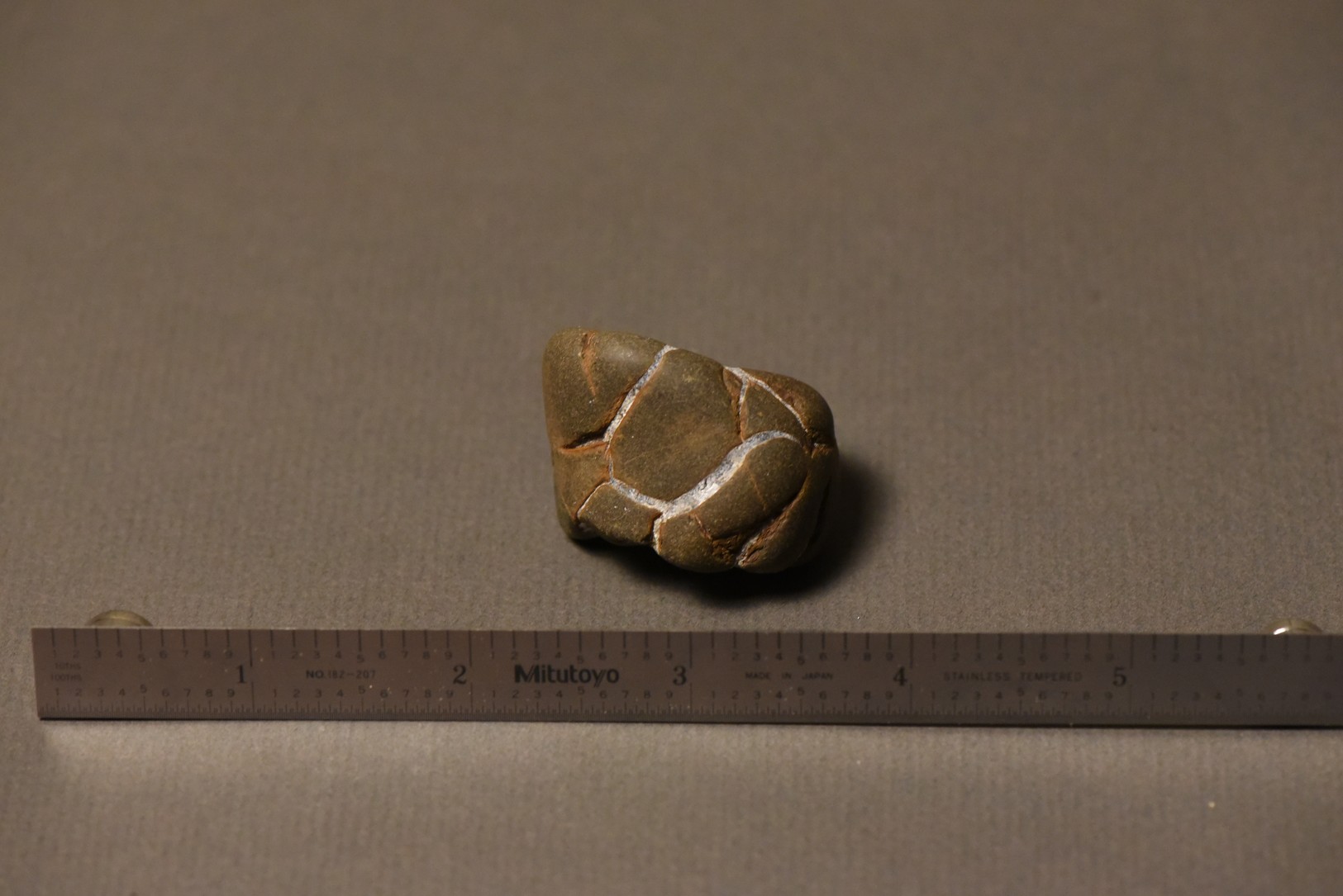 Septarian Nodule specimen