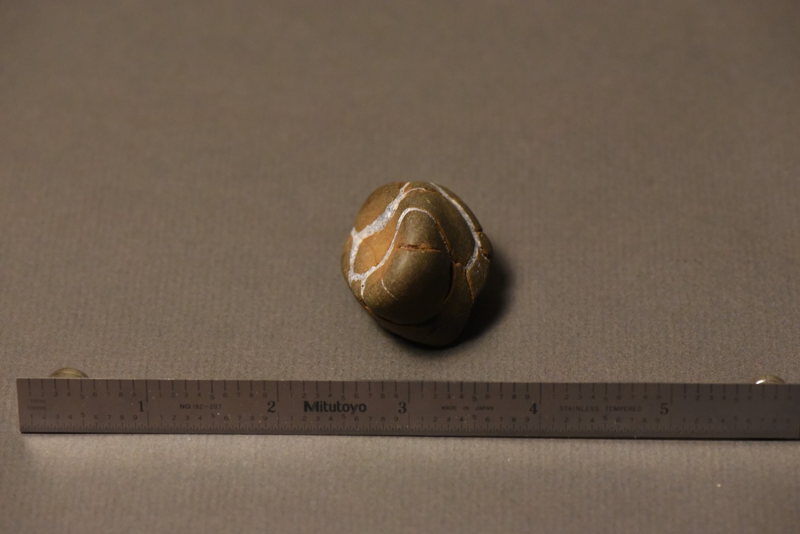 Septarian Nodule specimen