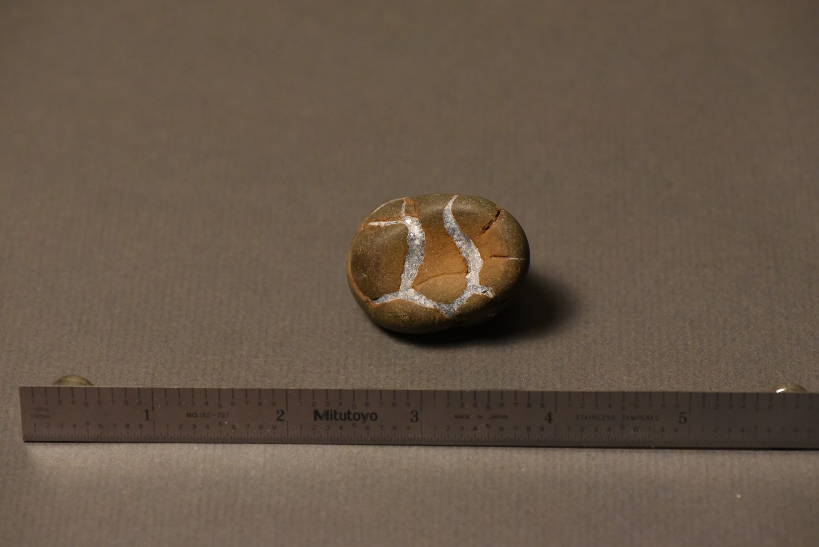 Septarian Nodule specimen
