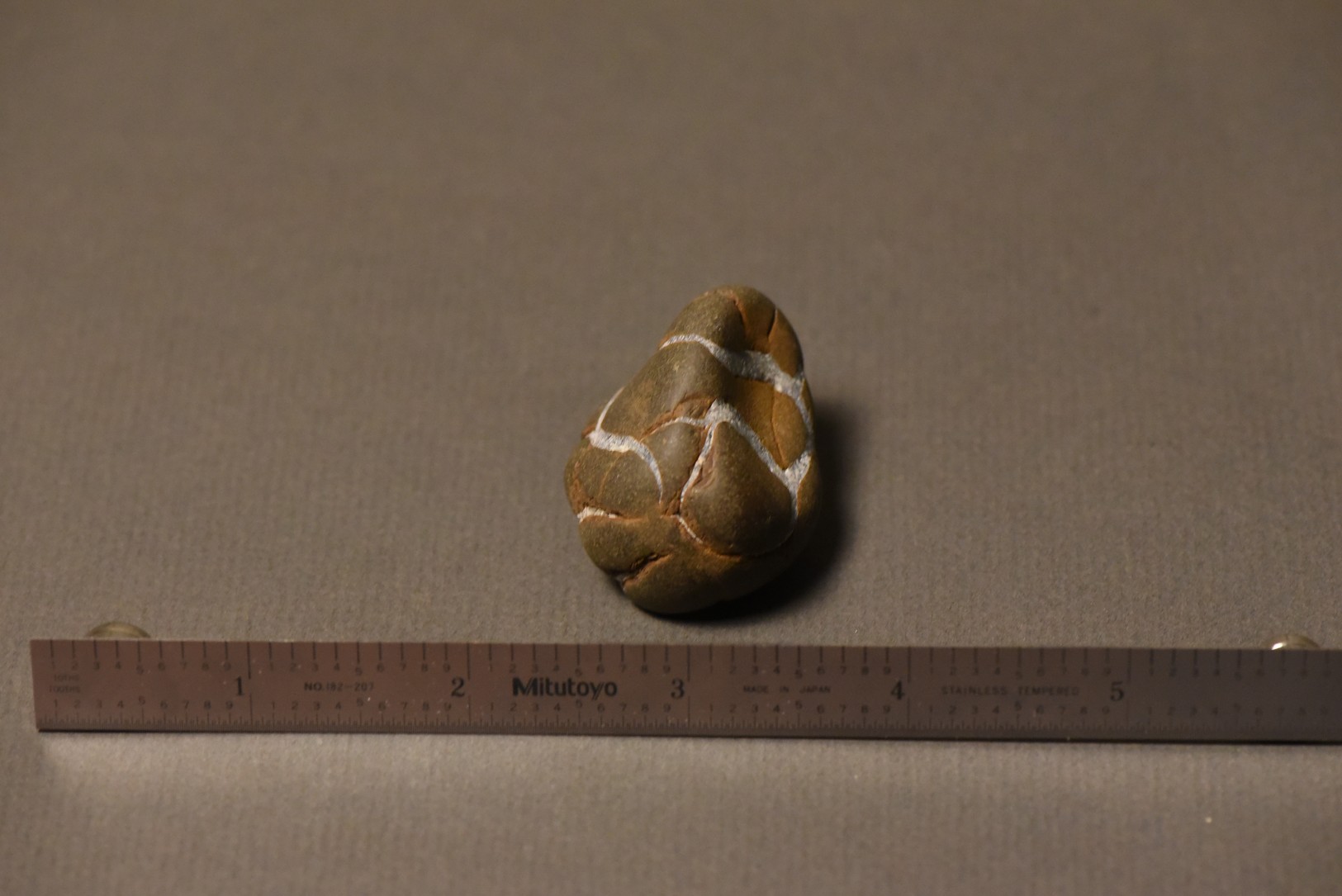Septarian Nodule specimen