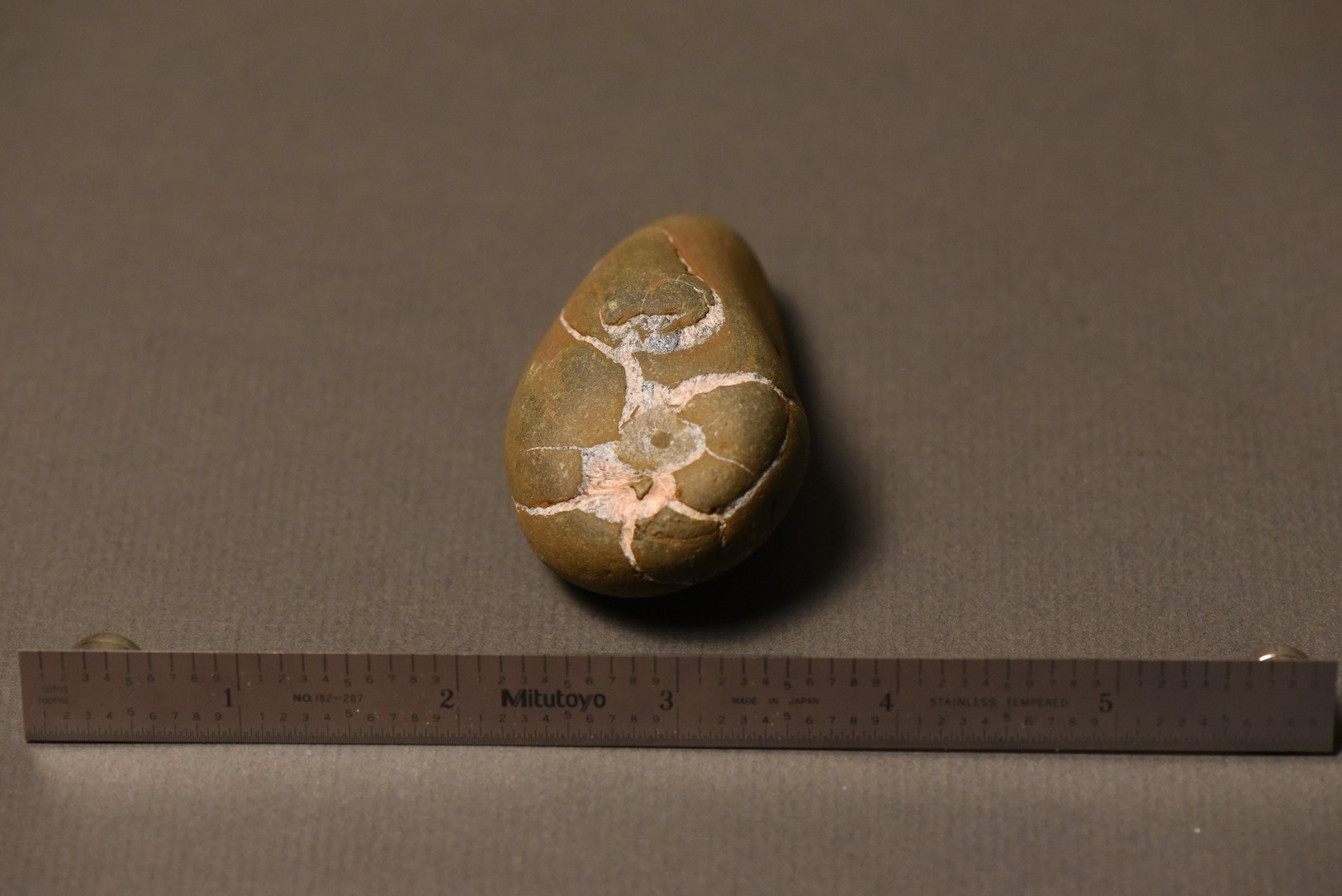 Septarian Nodule specimen