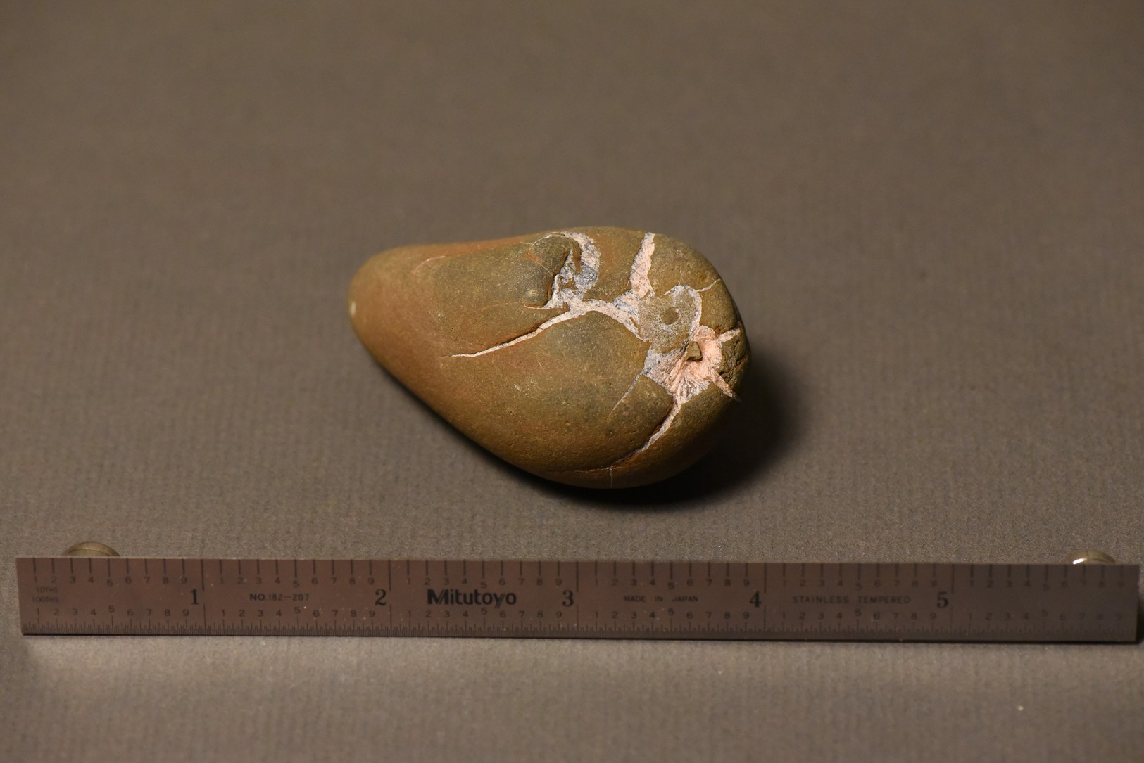 Septarian Nodule specimen