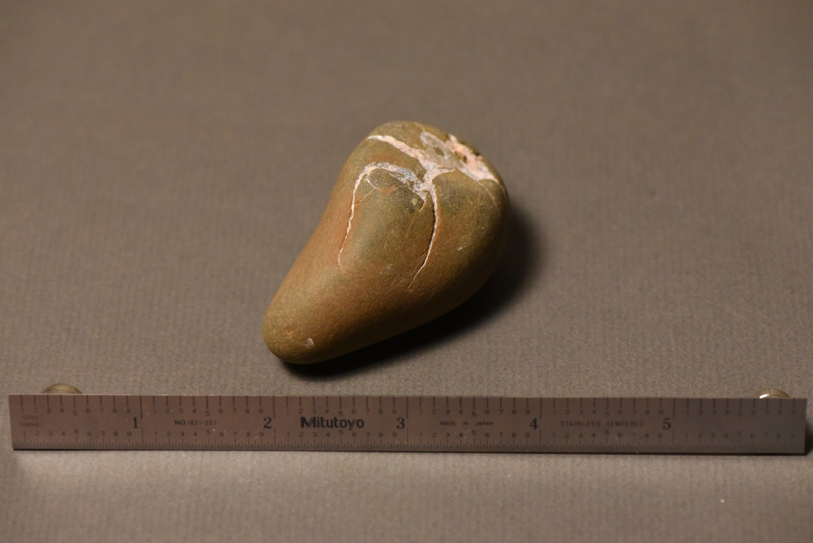 Septarian Nodule specimen