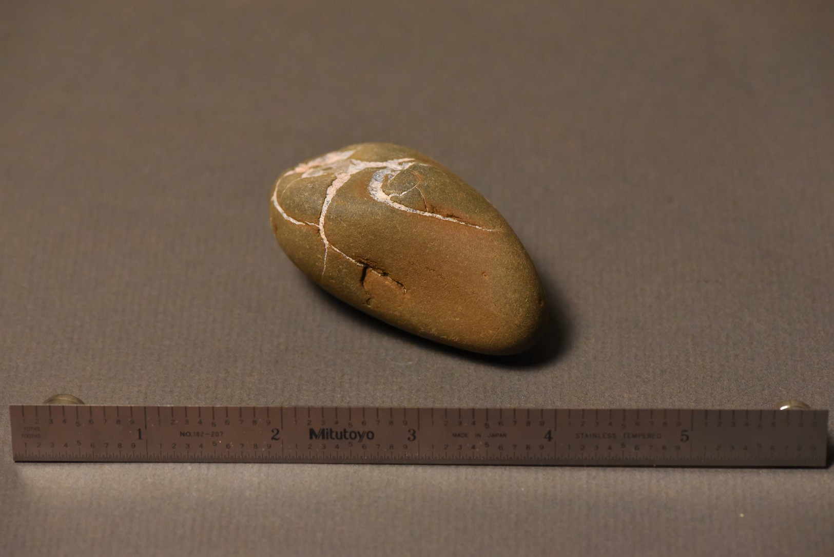 Septarian Nodule specimen