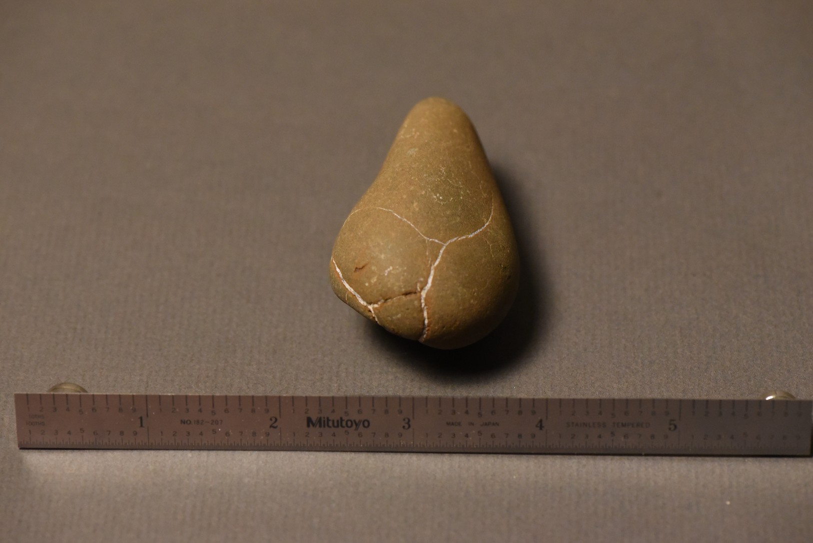 Septarian Nodule specimen