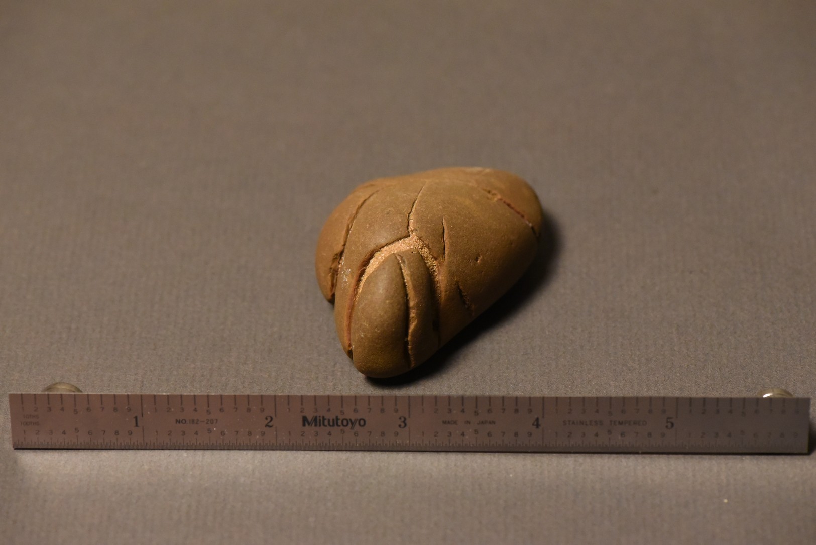 Septarian Nodule specimen