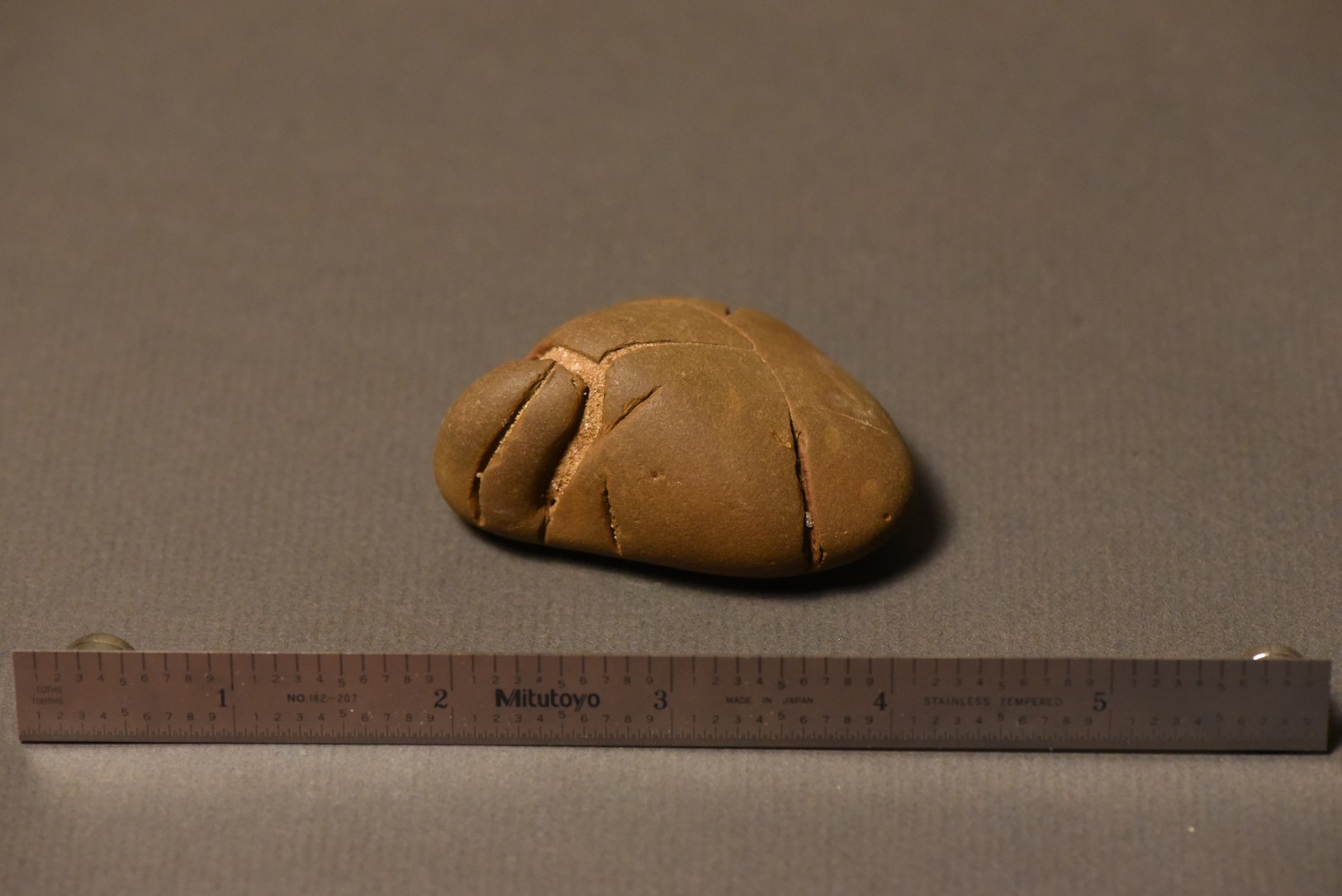 Septarian Nodule specimen