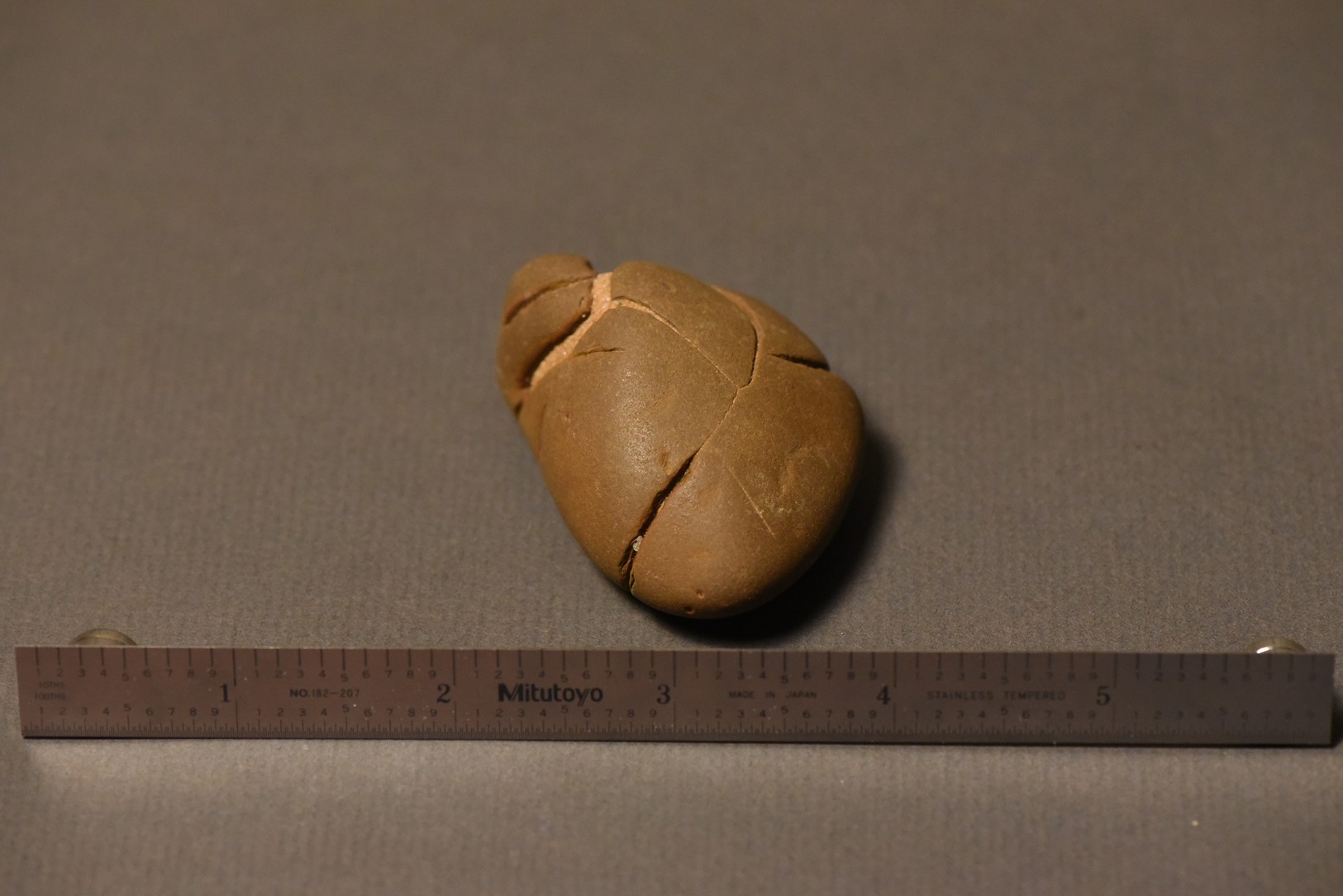 Septarian Nodule specimen