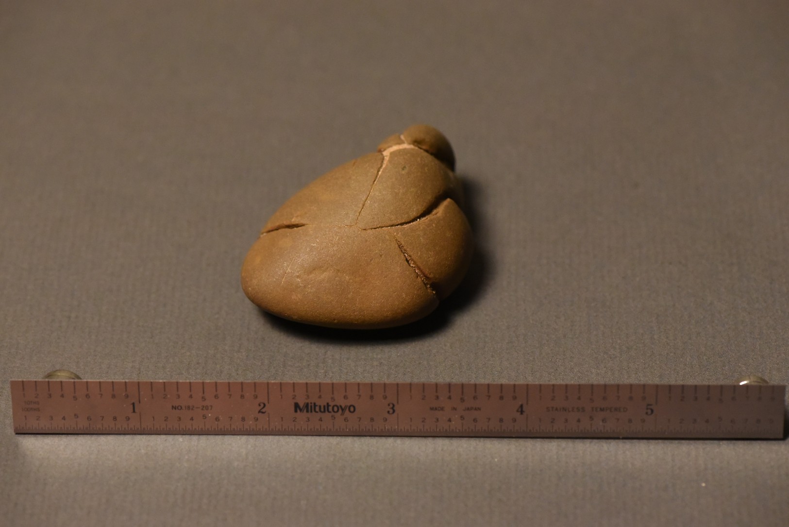 Septarian Nodule specimen