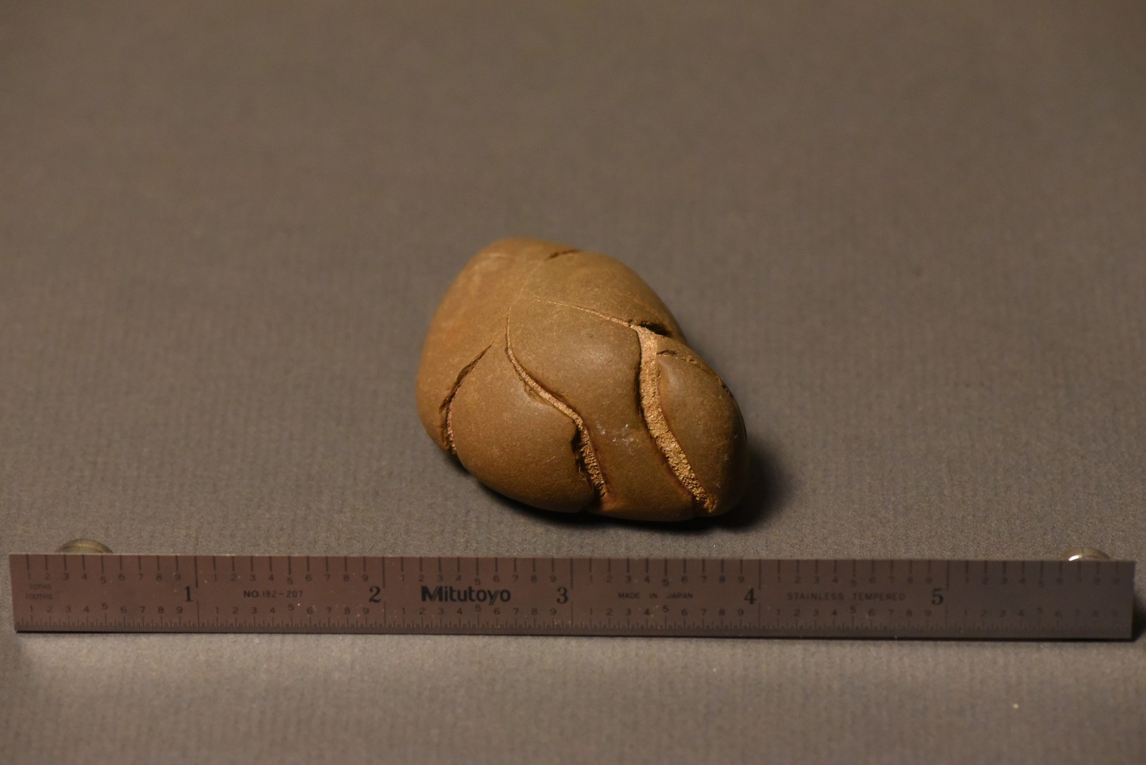 Septarian Nodule