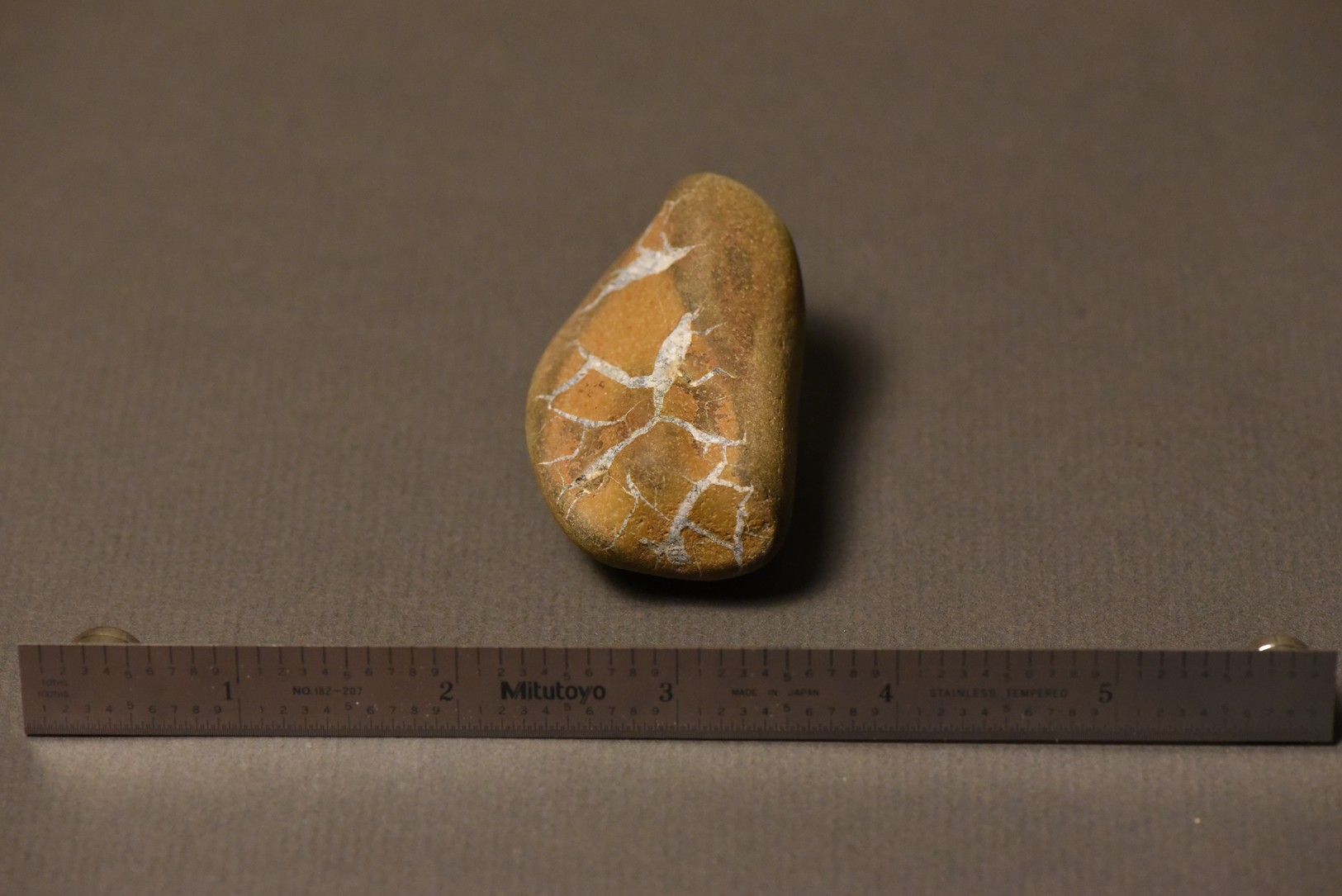 Septarian Nodule specimen