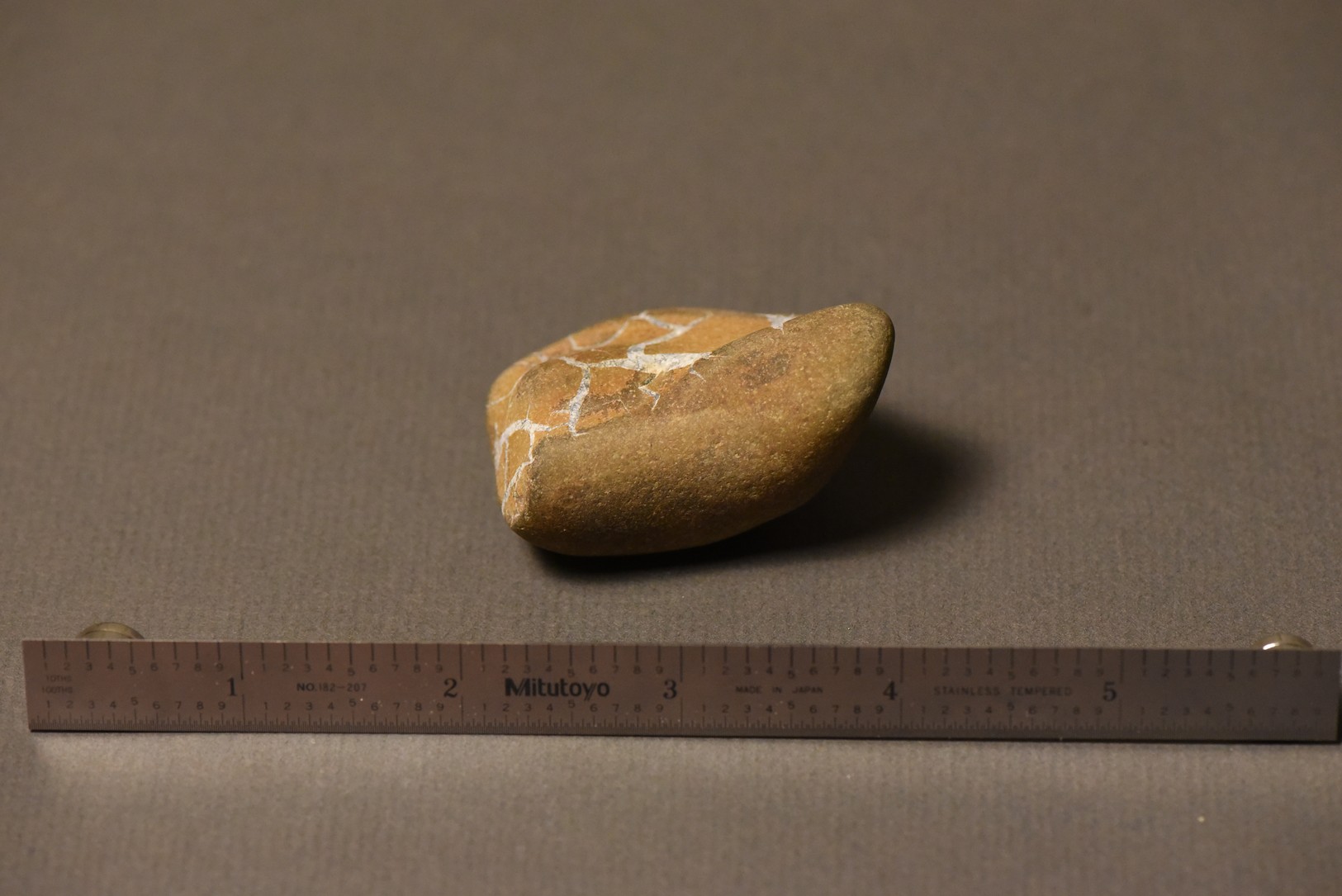 Septarian Nodule specimen