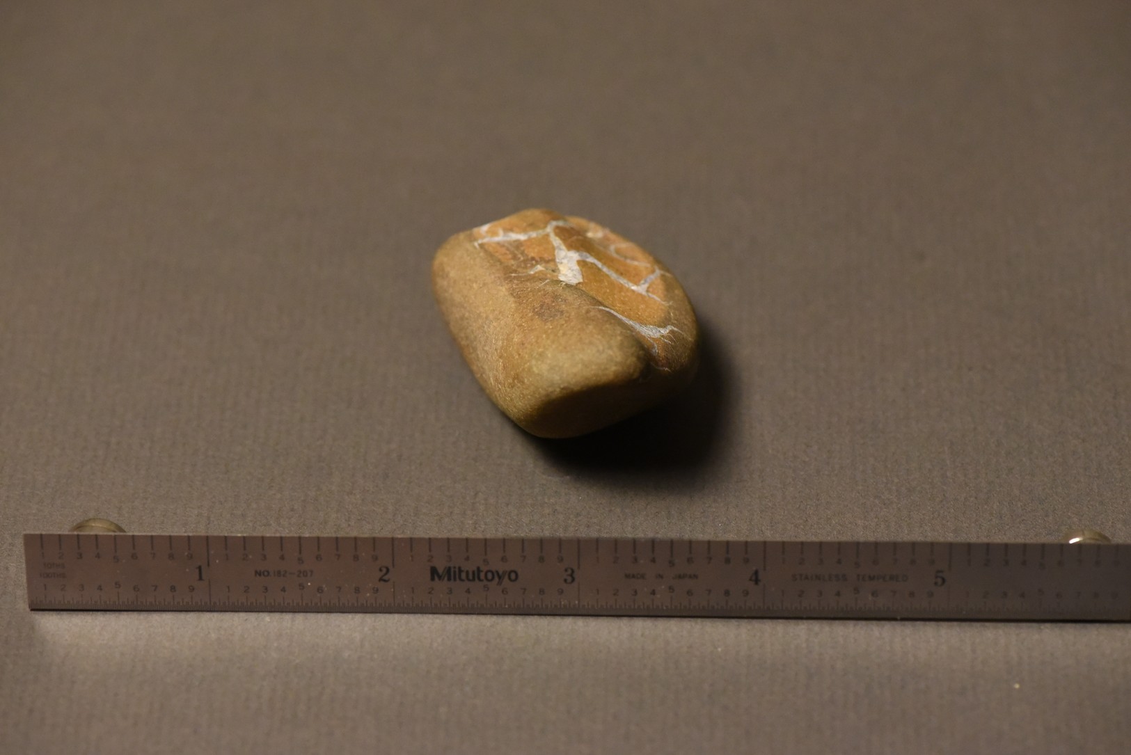 Septarian Nodule specimen