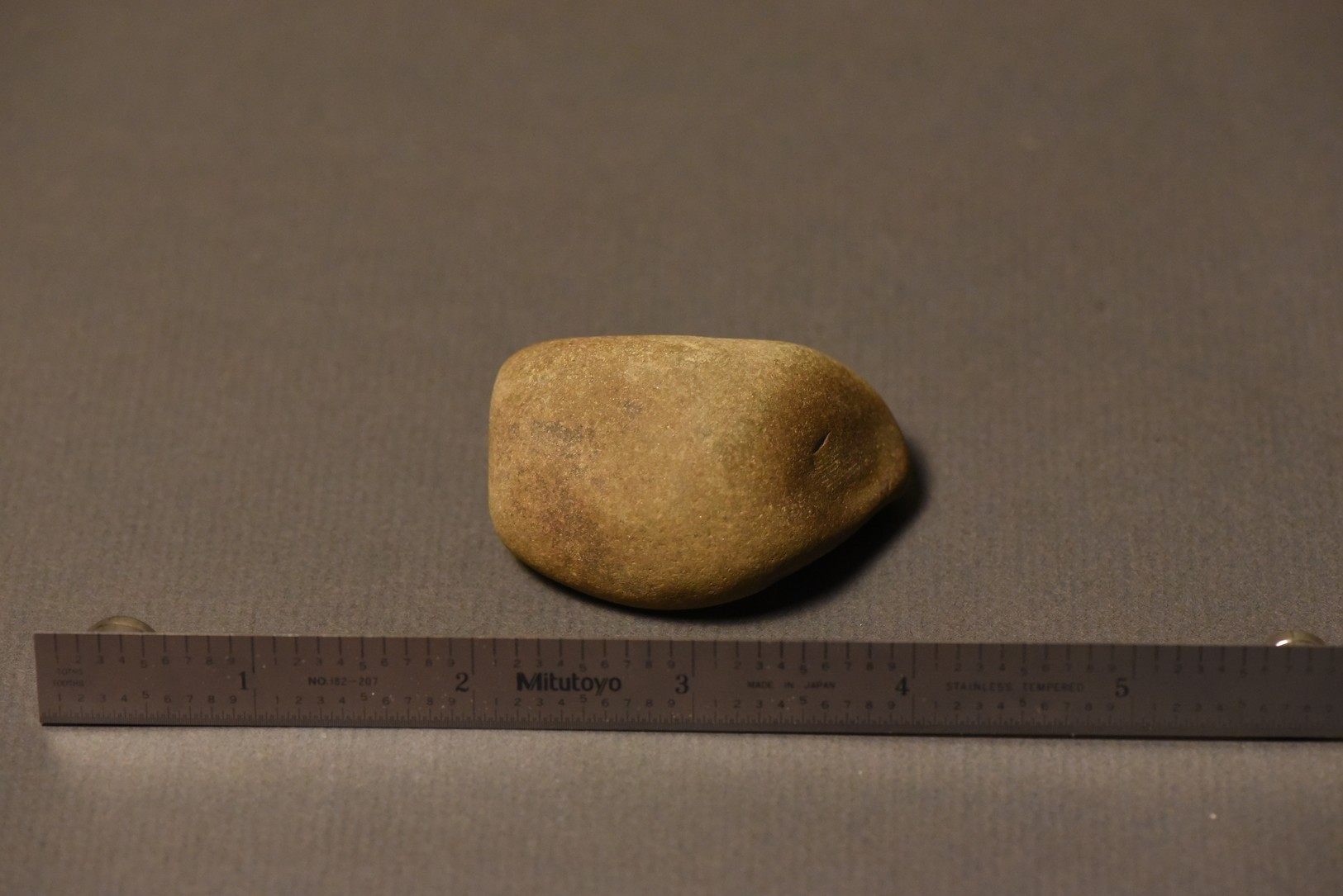 Septarian Nodule specimen
