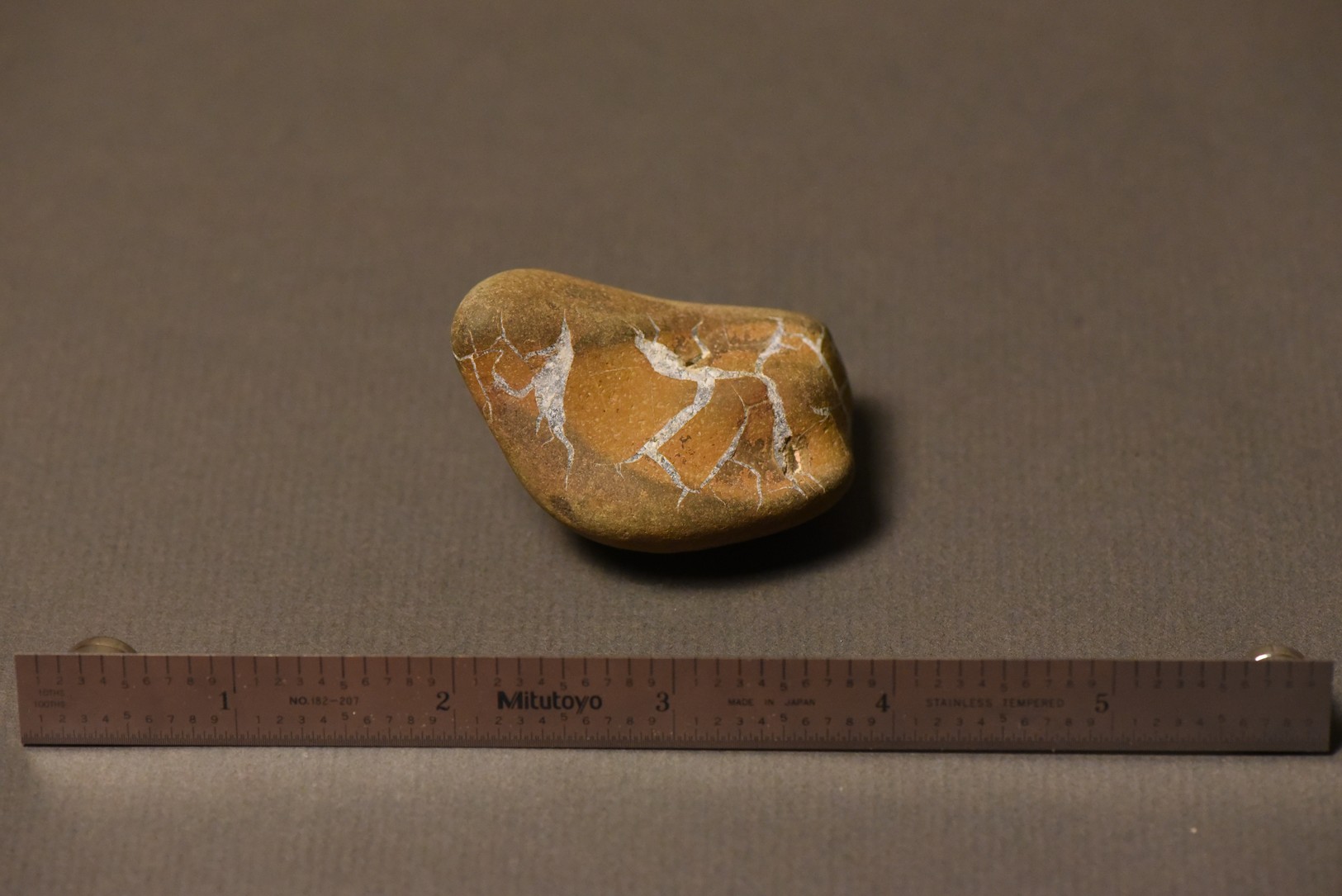 Septarian Nodule
