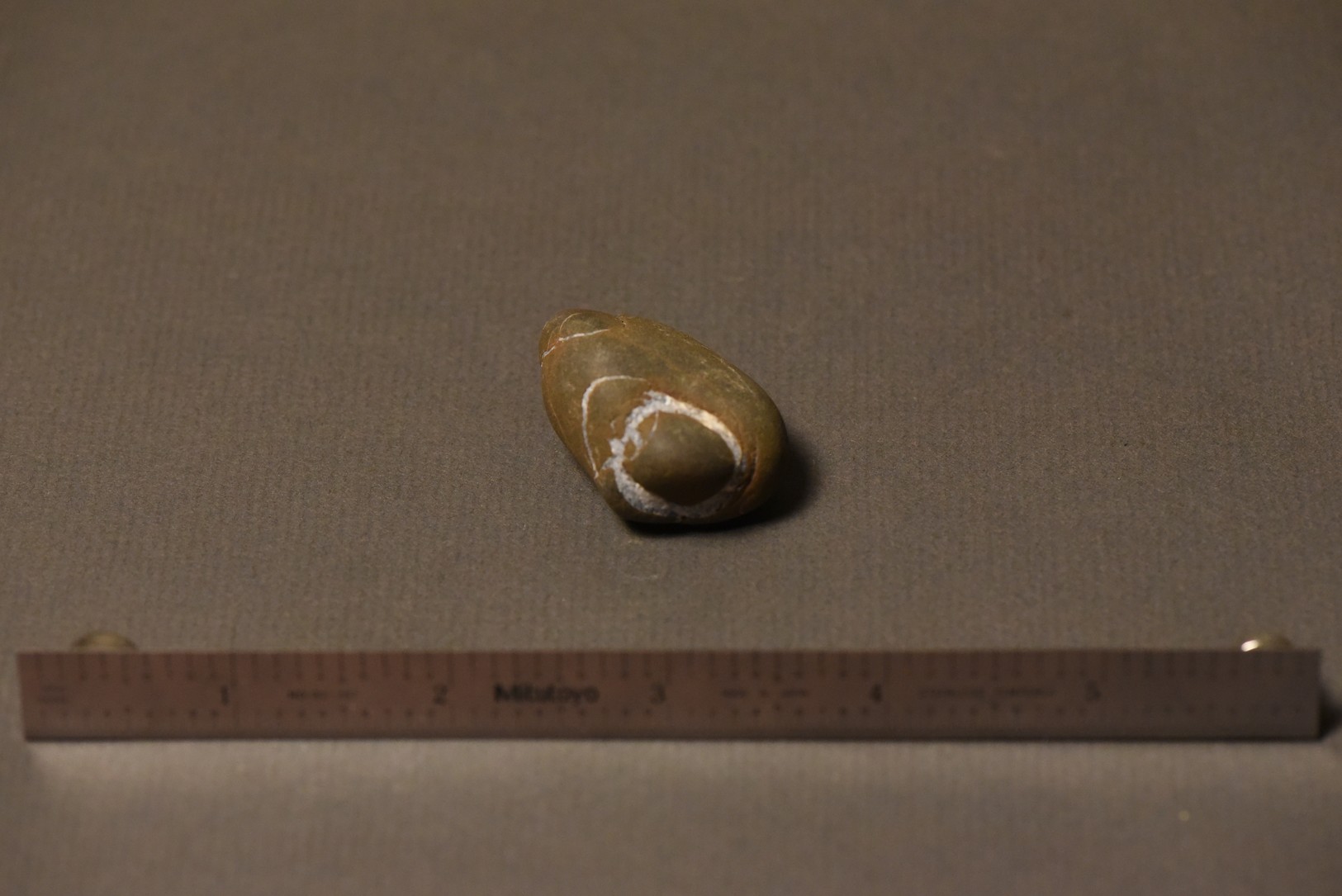 Septarian Nodule specimen