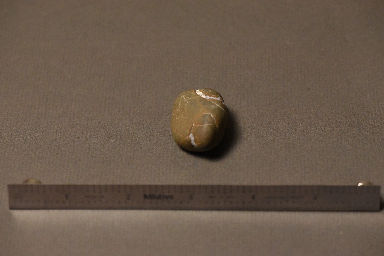 Septarian Nodule specimen