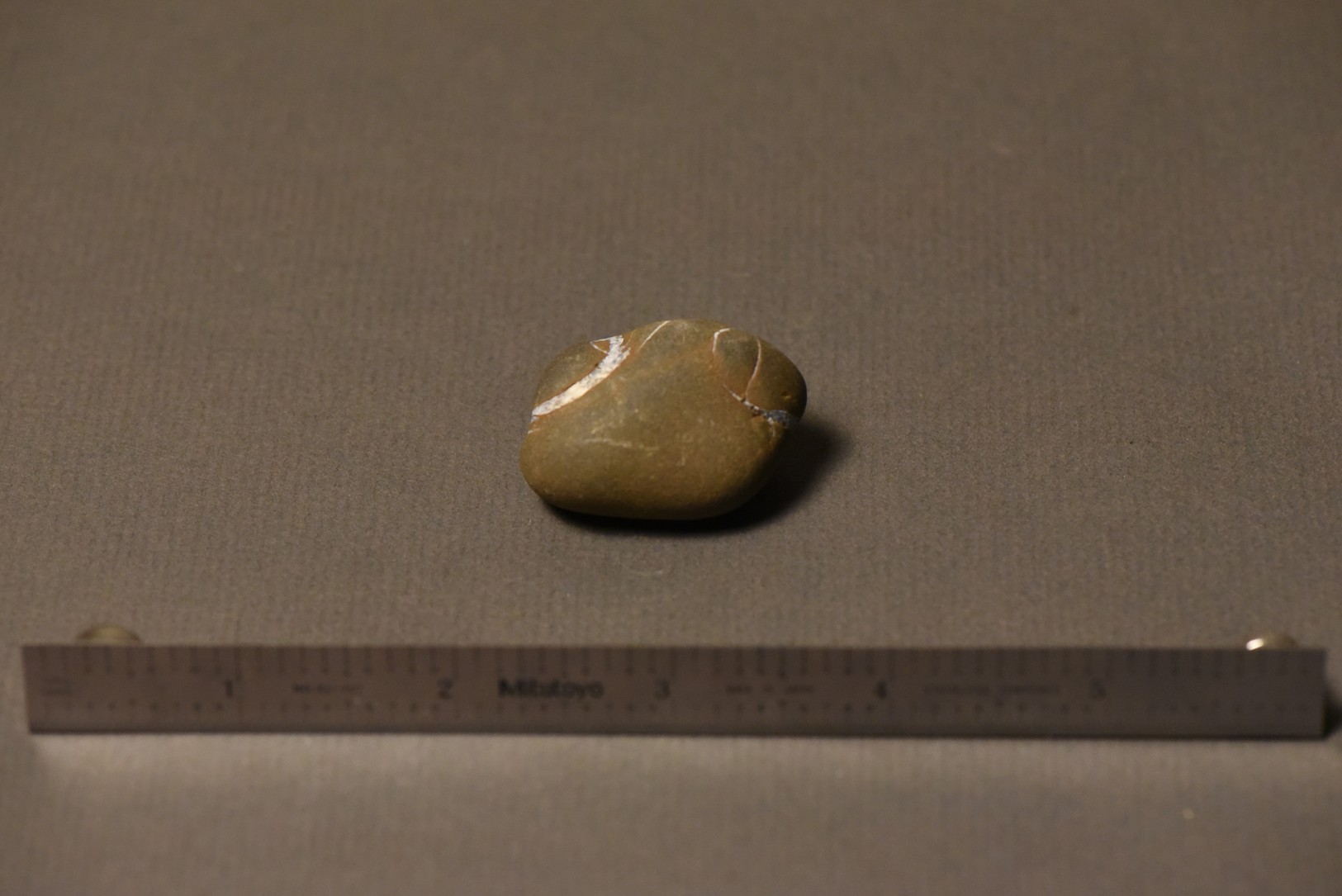 Septarian Nodule specimen