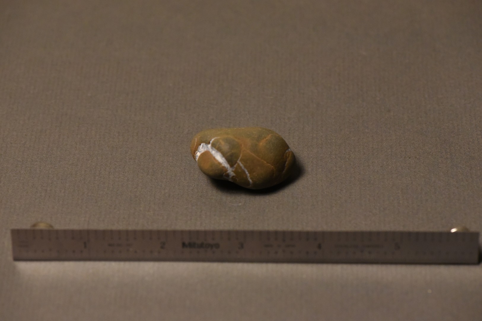 Septarian Nodule specimen