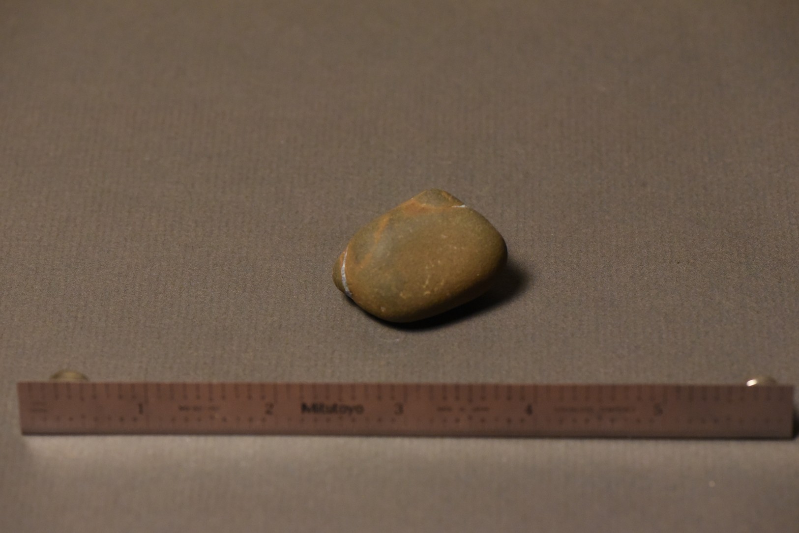 Septarian Nodule specimen