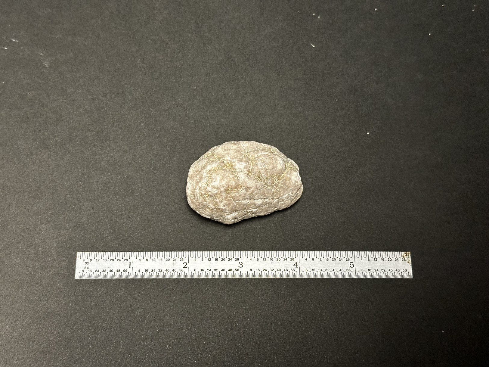 Chalcedony nodule specimen