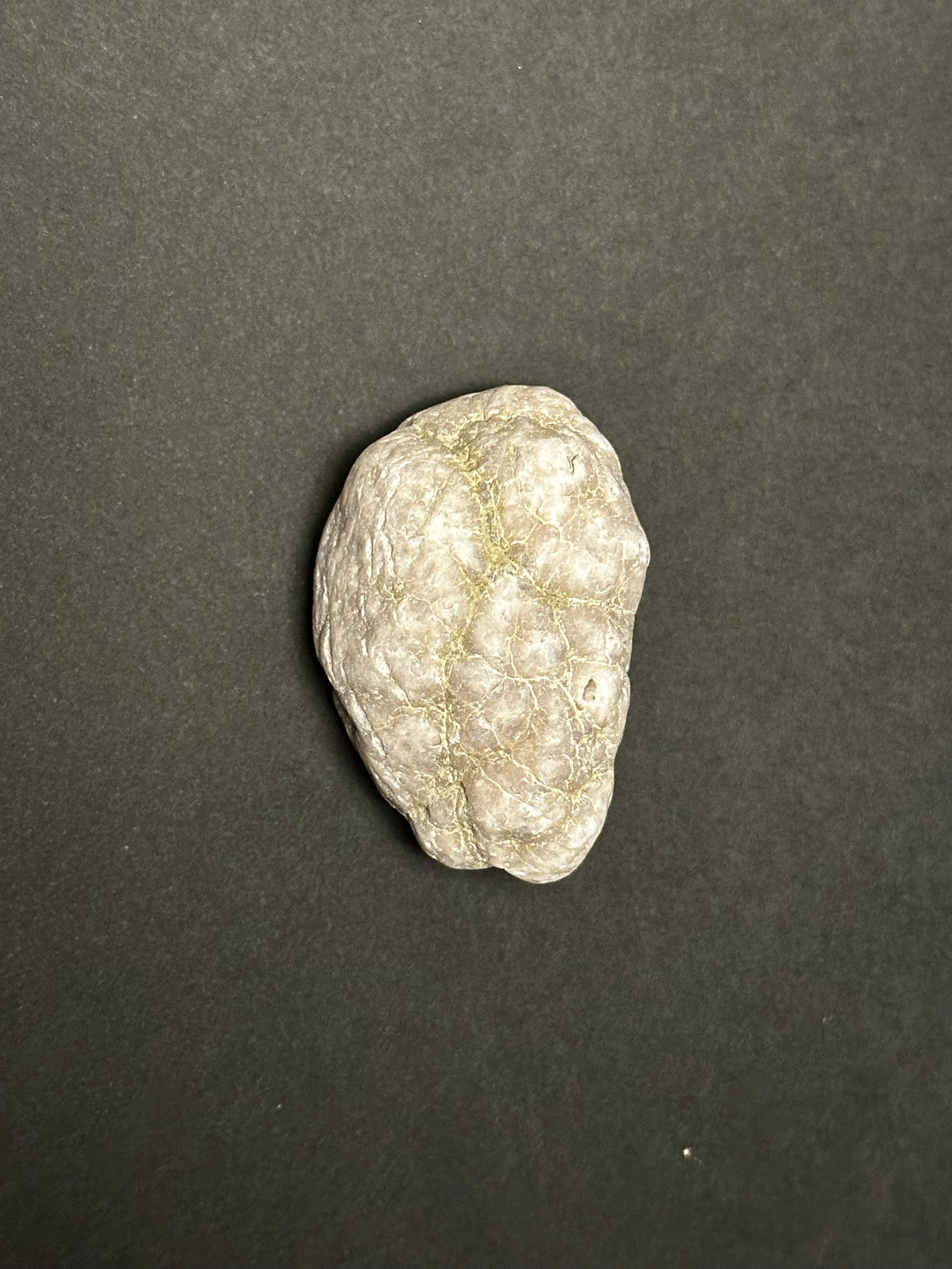 Chalcedony Nodule
