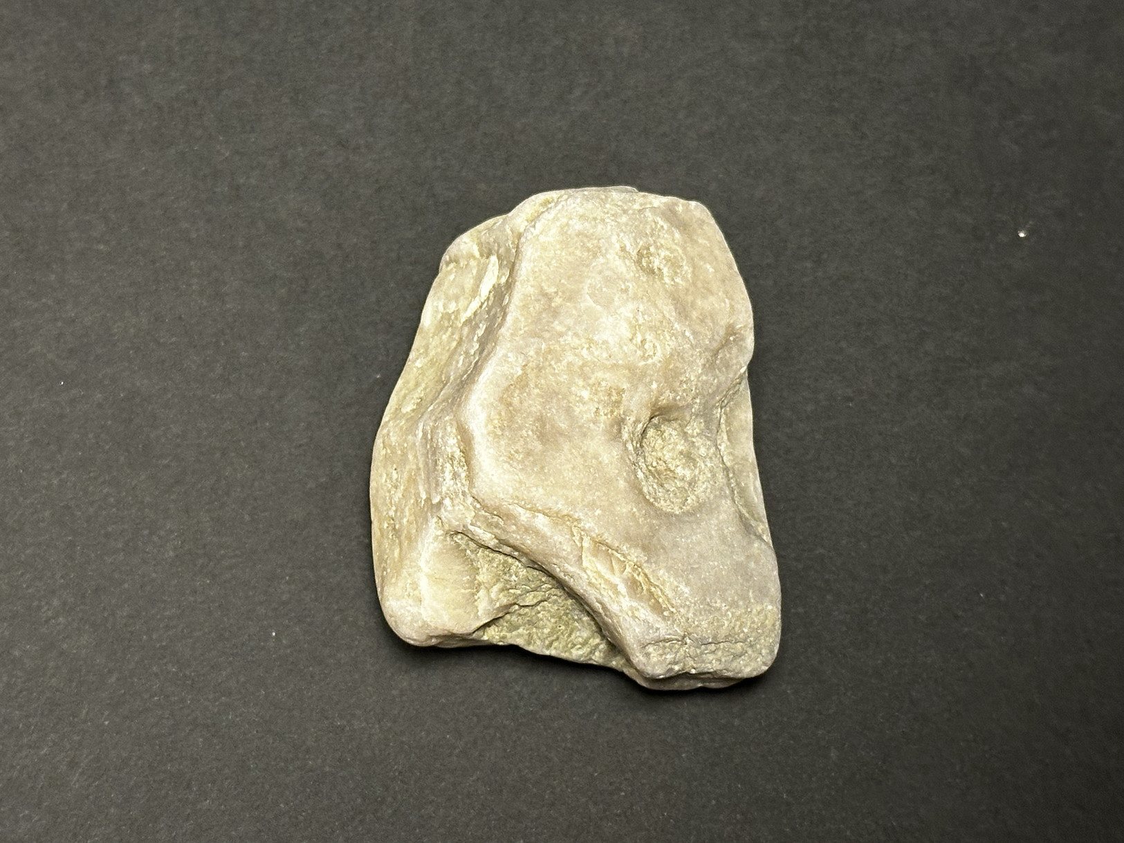 Silicified Sedimentary Rock specimen