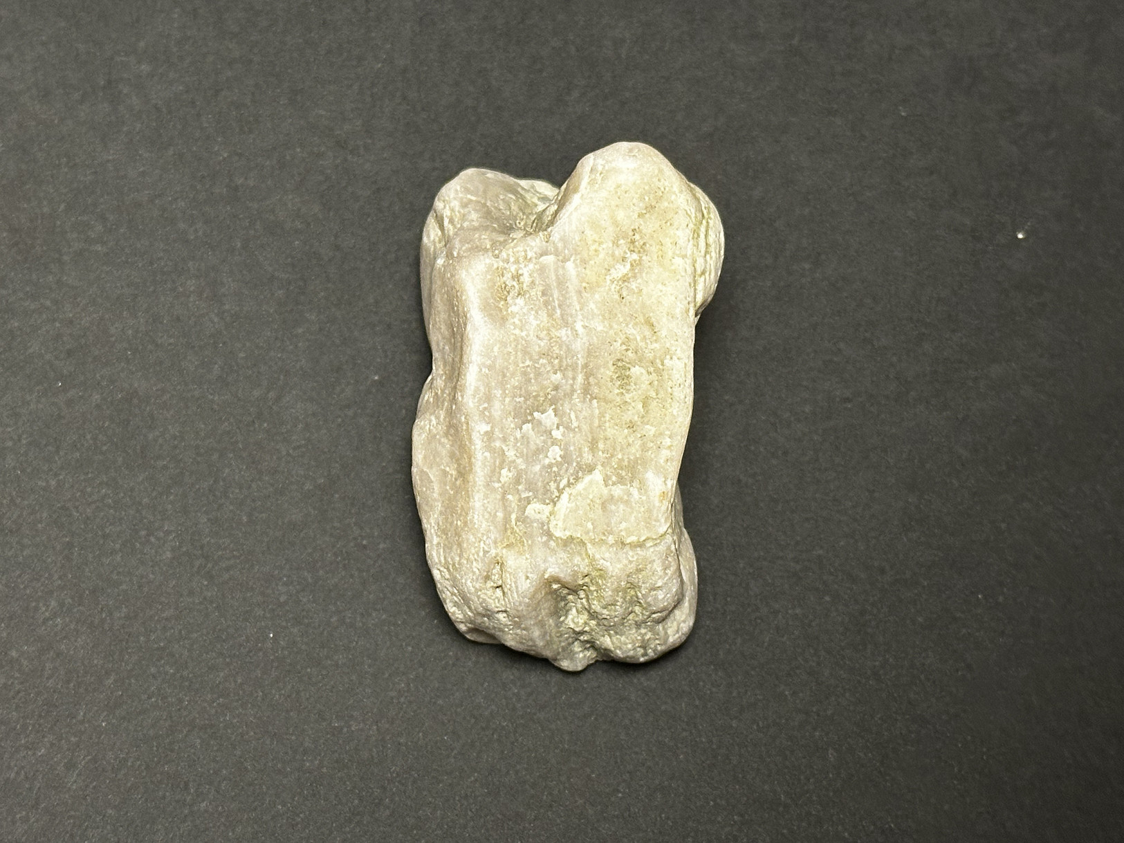 Silicified Sedimentary Rock specimen