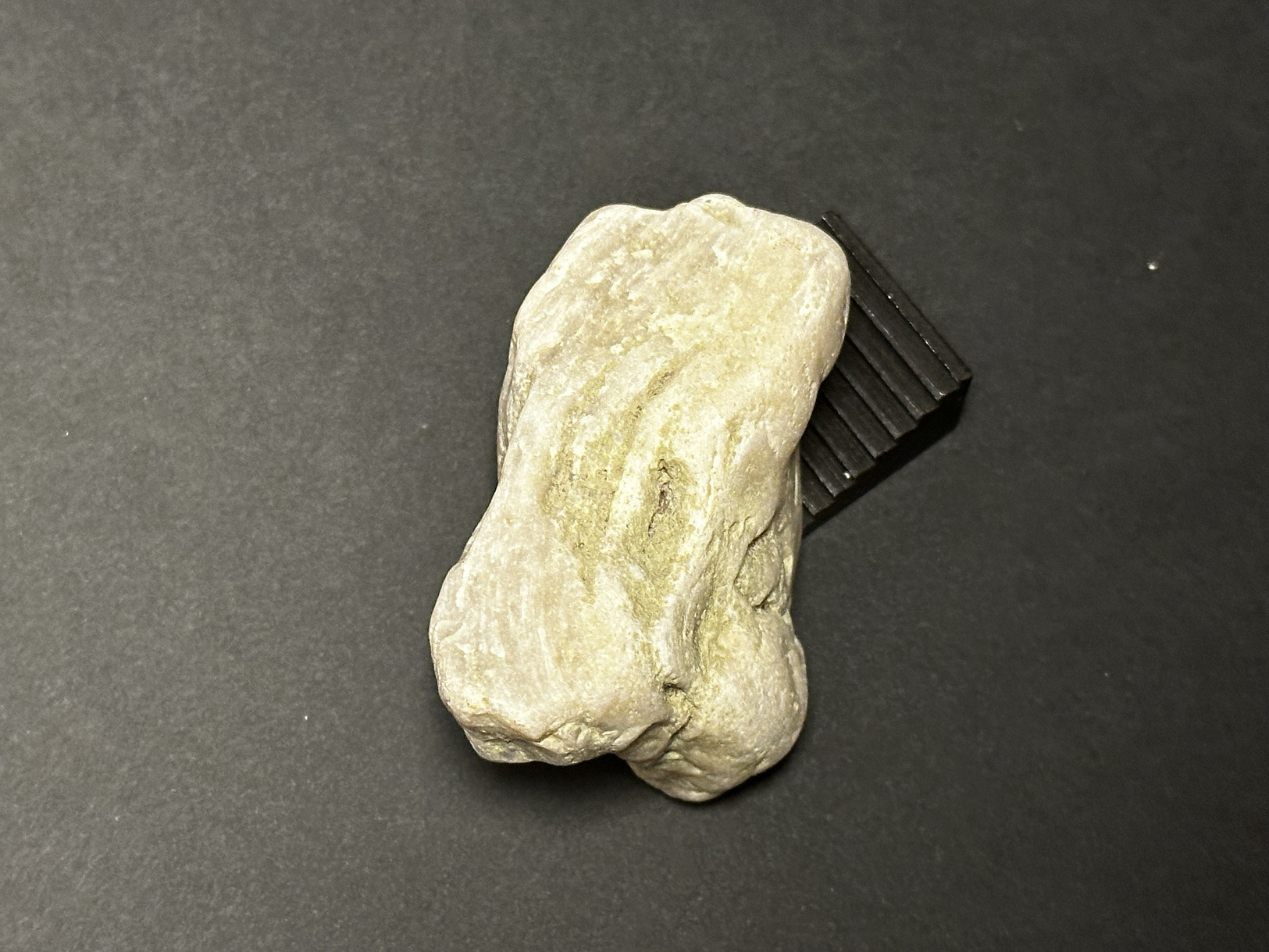 Silicified Sedimentary Rock specimen