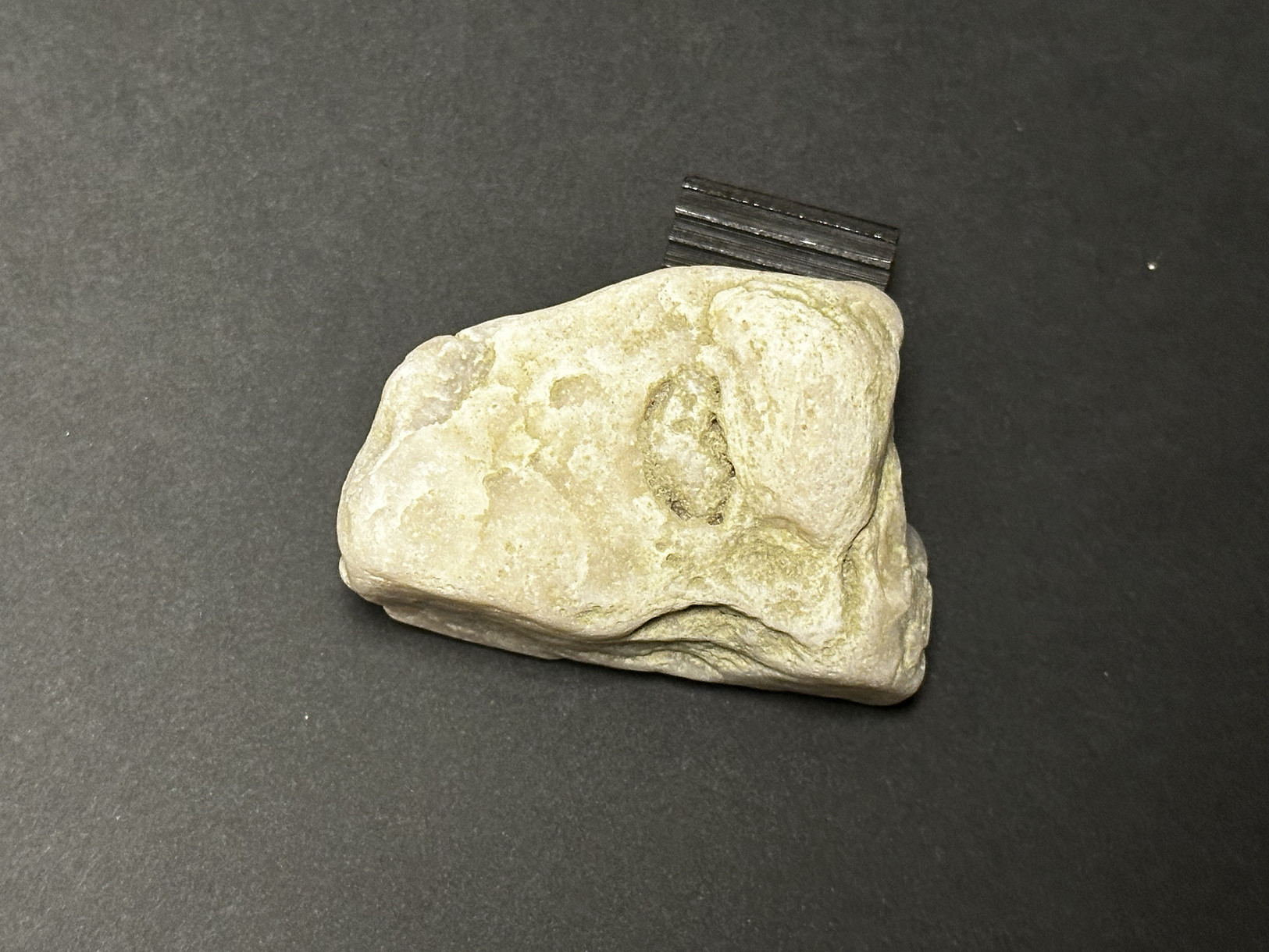 Silicified Sedimentary Rock specimen