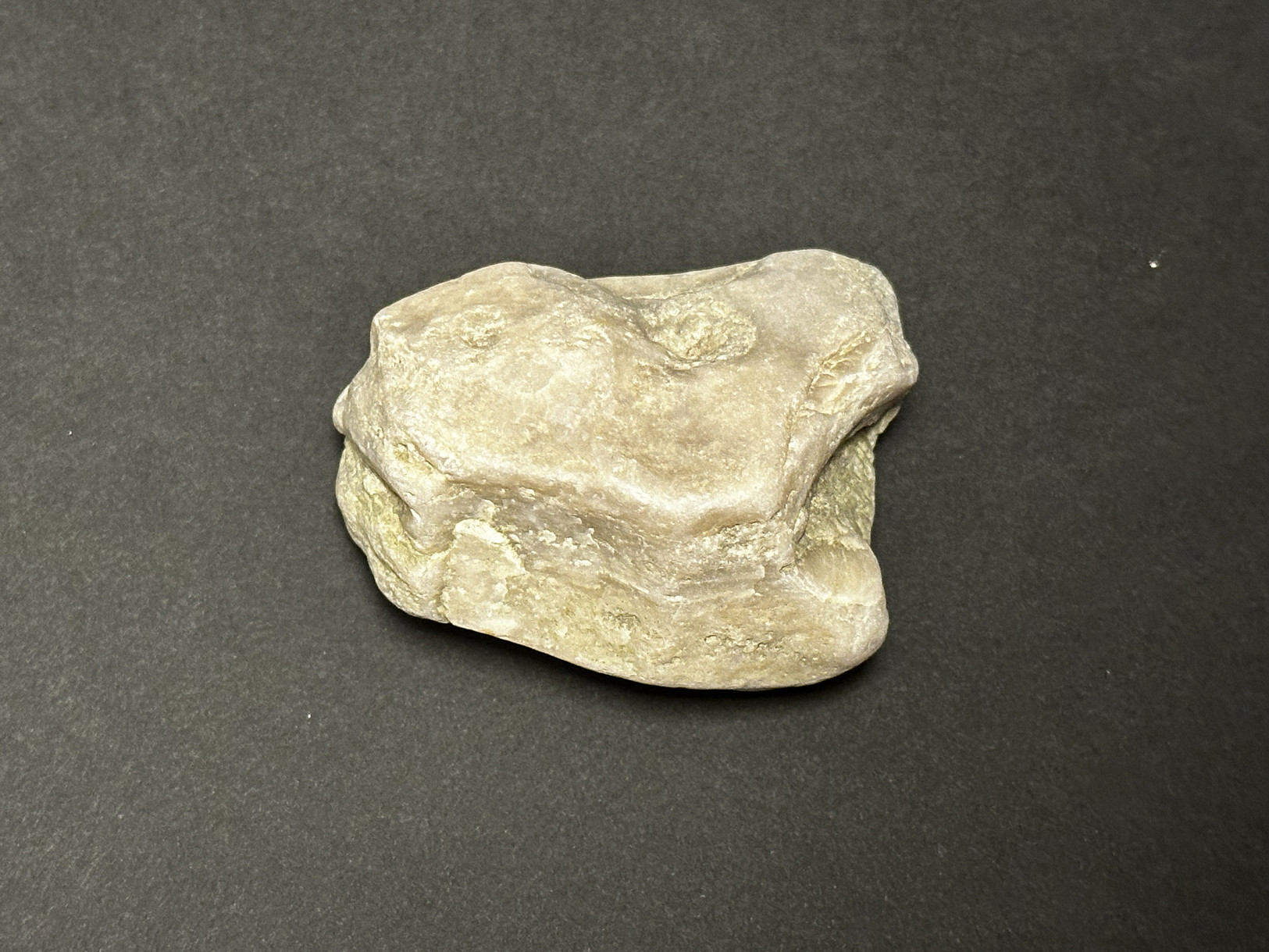 Silicified Sedimentary Rock