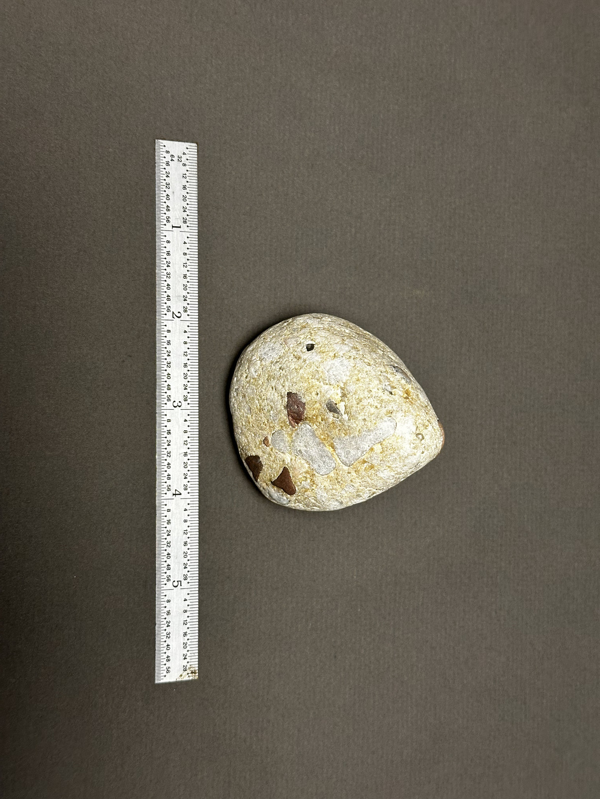 Pudding Stone specimen