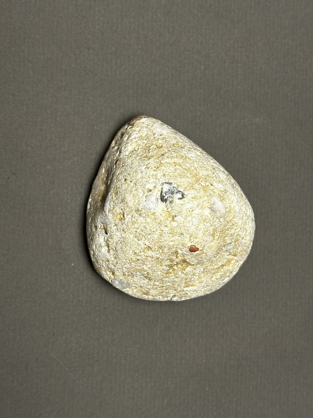 Pudding Stone specimen