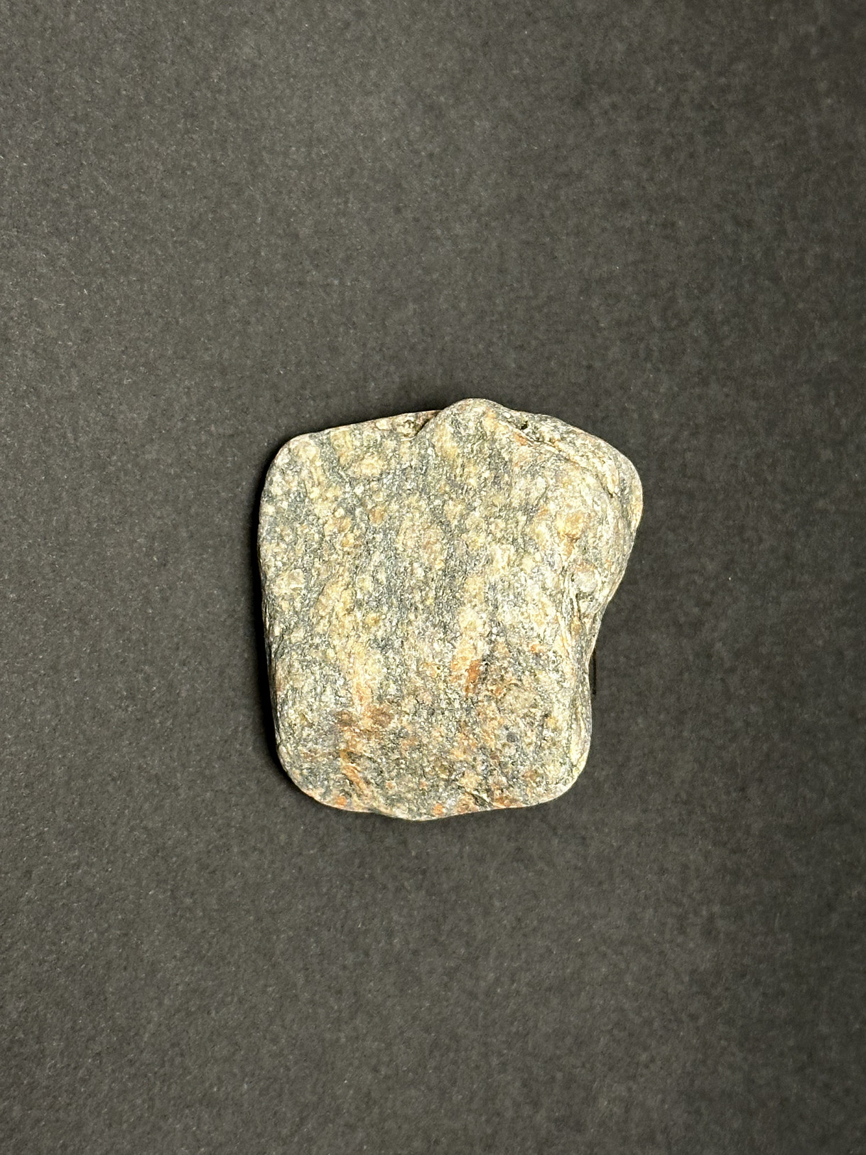 Augen Gneiss specimen