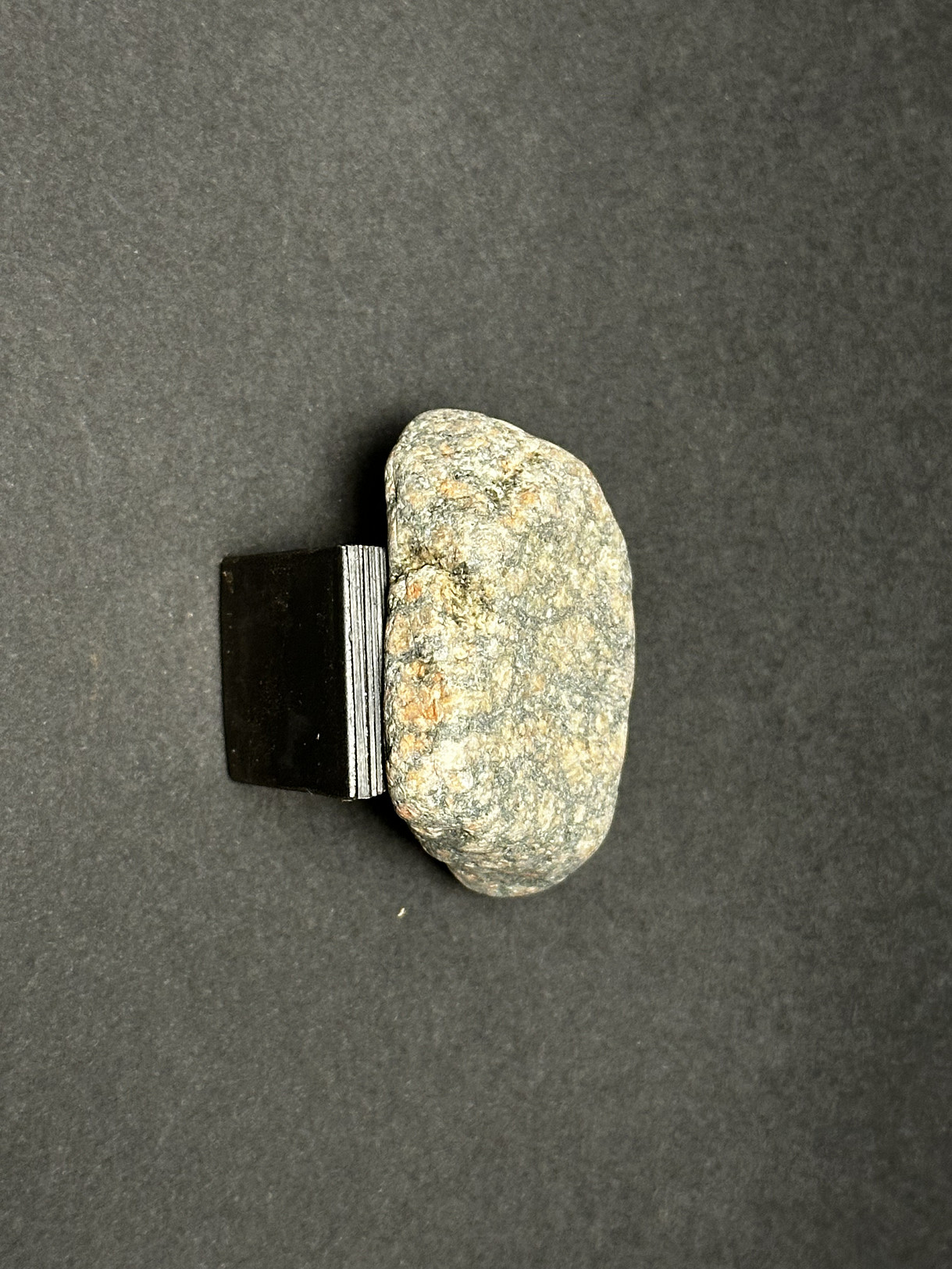 Augen Gneiss specimen